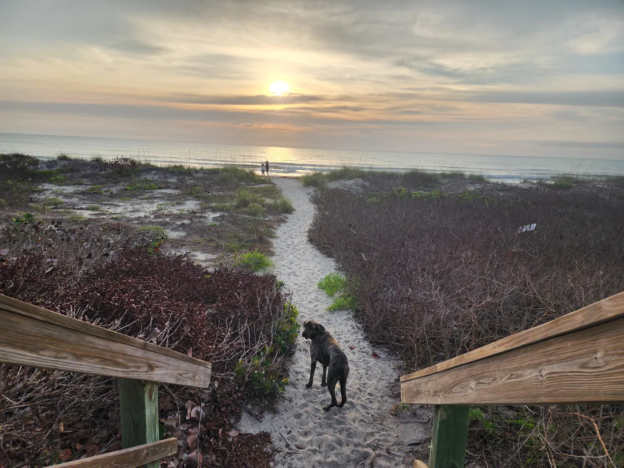 Cocoa Beach surf report — Picnic Tables at 31st Street, South Cocoa Beach