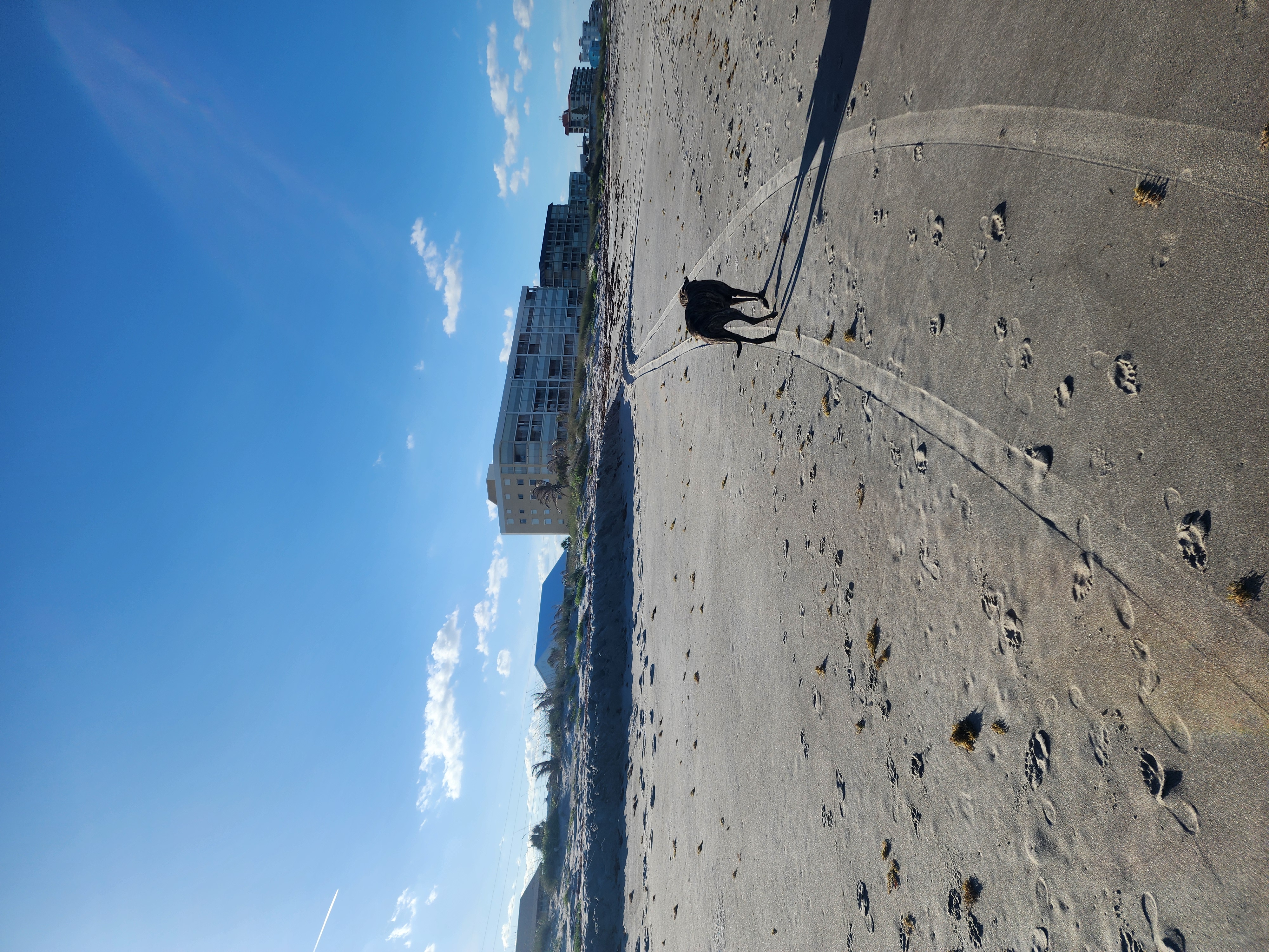 Cocoa Beach surf conditions at Picnic Tables — 2026-04-21