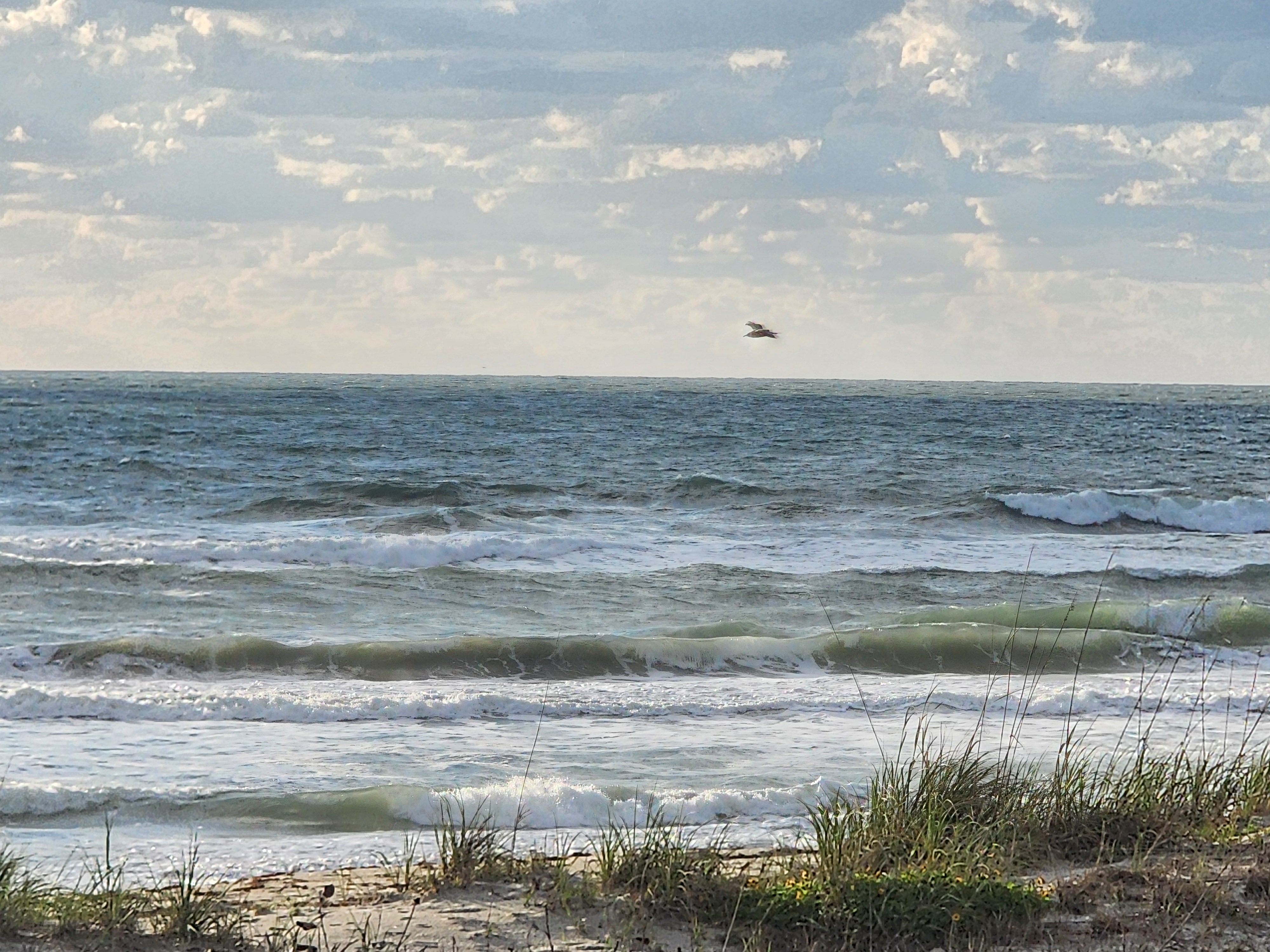 Cocoa Beach surf photo 4 — 1-2' with light ESE texture — rideable but bumpy.