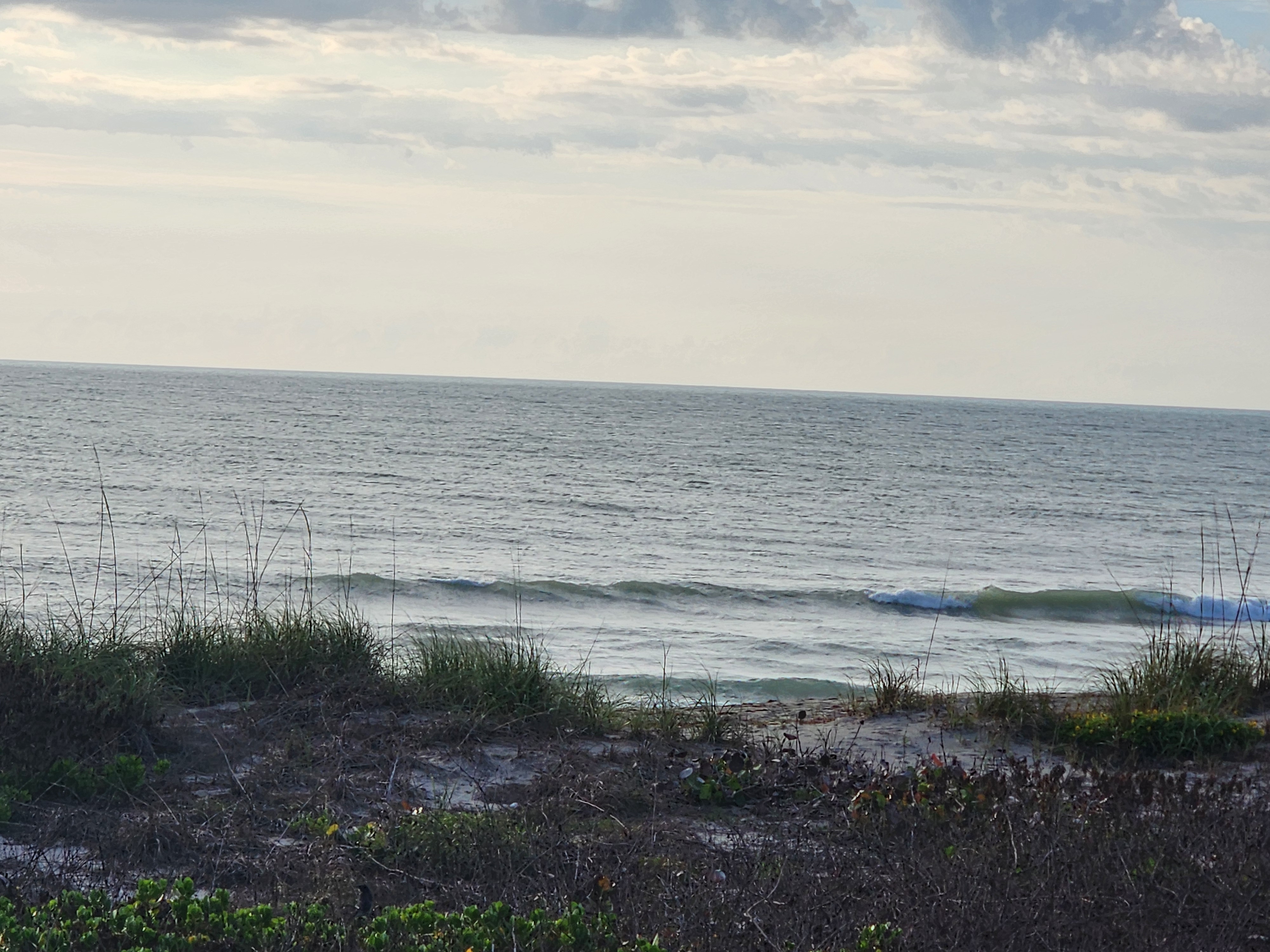 Tiny waves with SSW bump breaking nearshore through sea oats Picnic Tables South Cocoa Beach