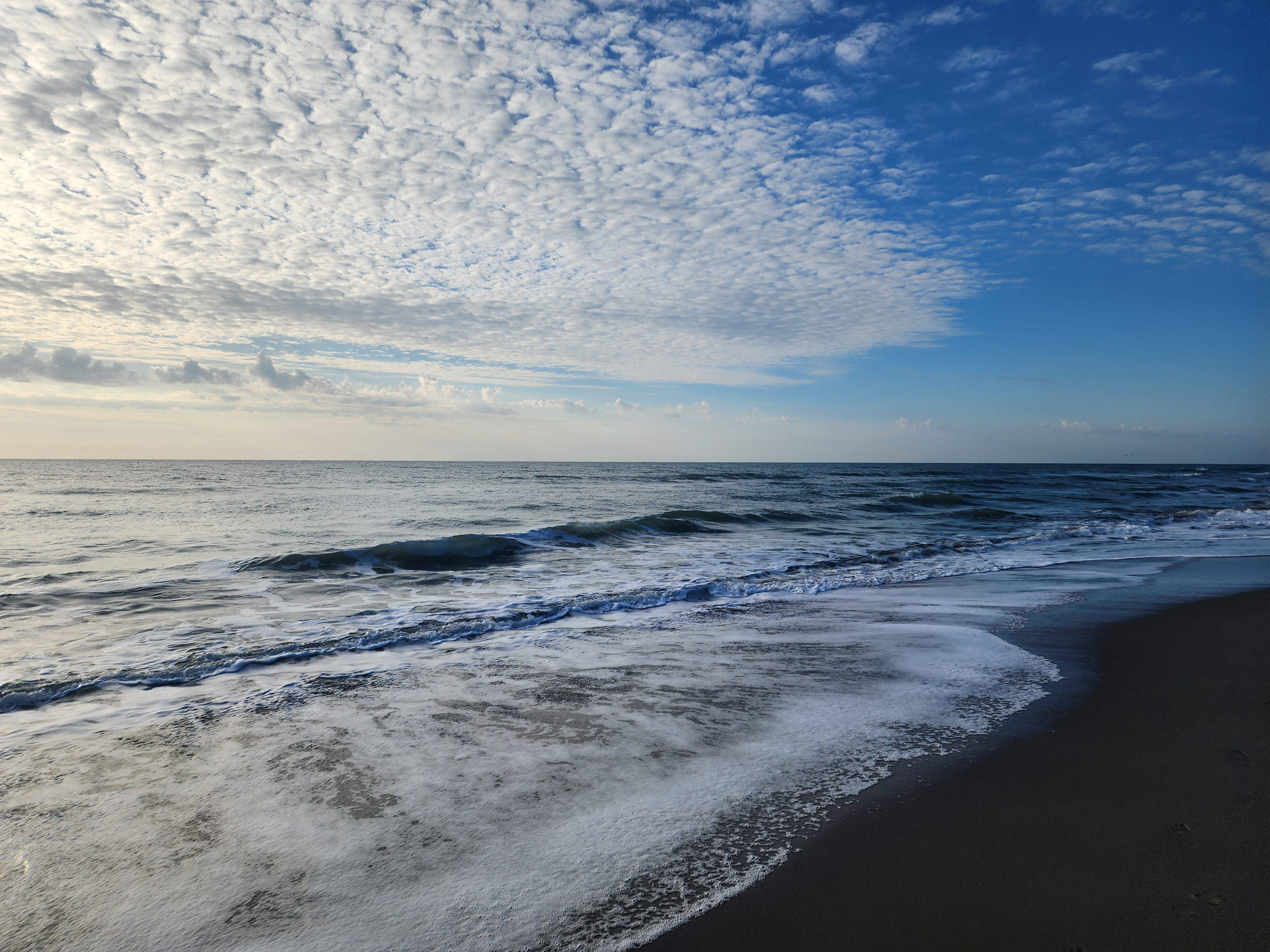 Athena enjoying the morning at 31st Street beach access with small surf in background South Cocoa Beach