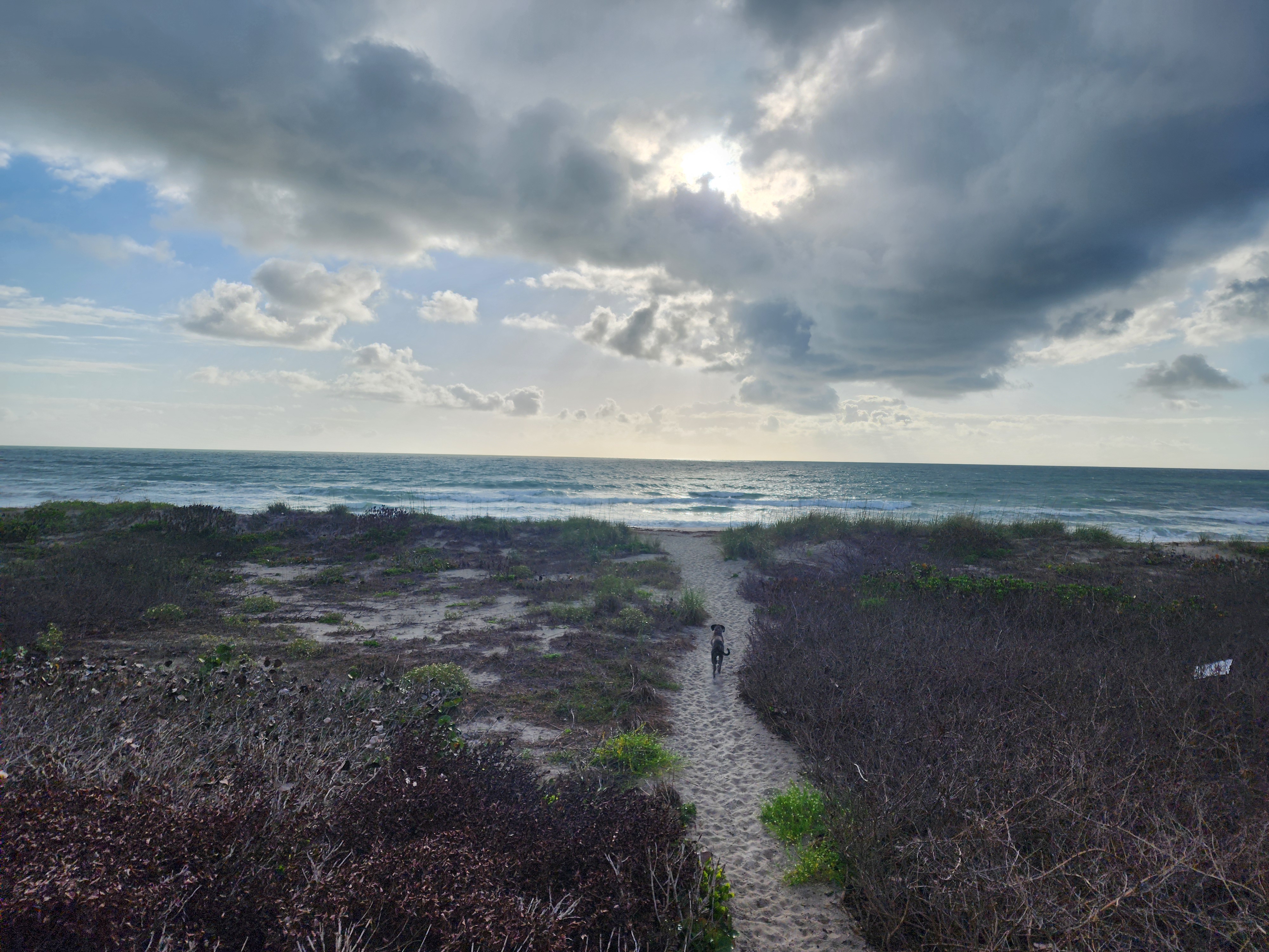 1-2 foot surf with light onshore texture at Picnic Tables South Cocoa Beach Monday morning April 28 2026