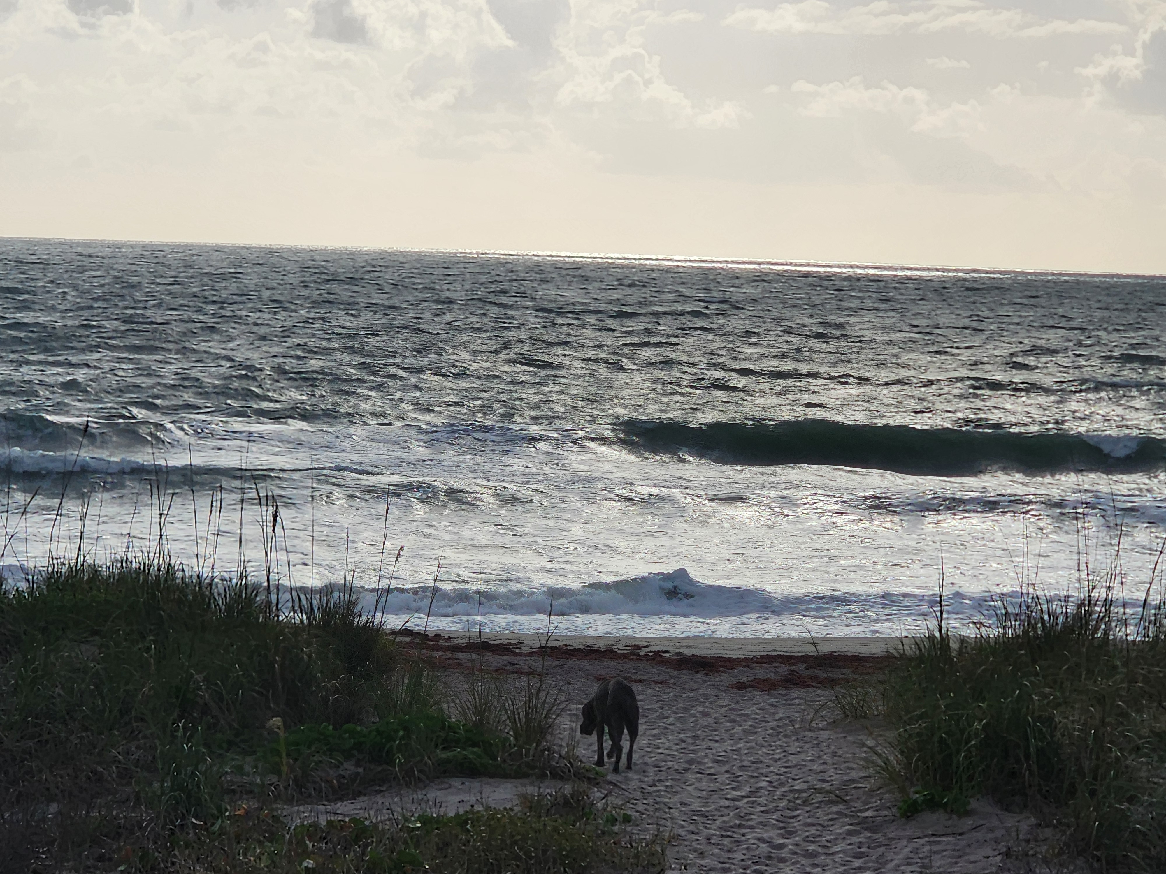 Small wave with light texture breaking nearshore at 31st Street Cocoa Beach Monday morning