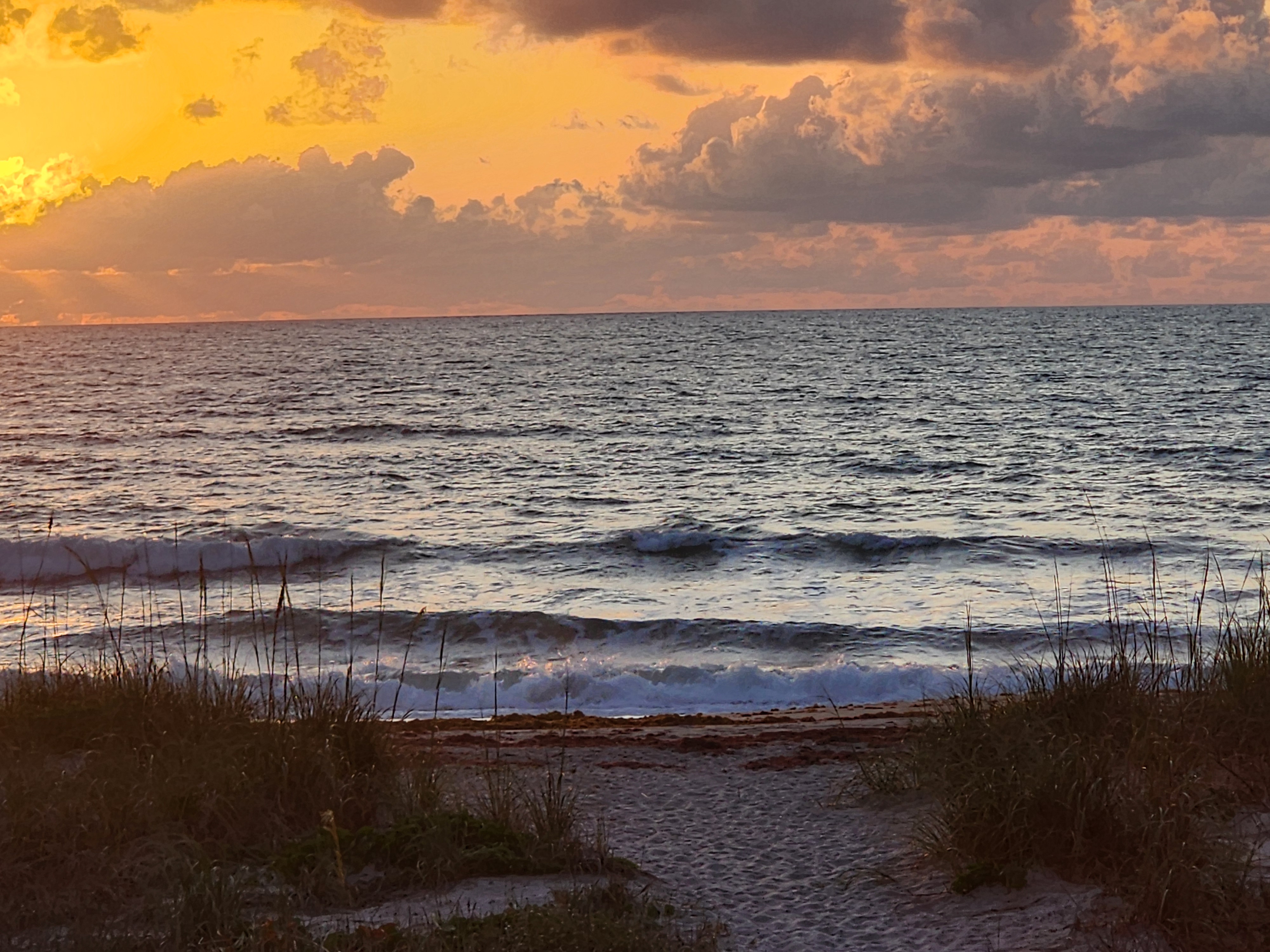Small clean wave breaking nearshore through sea oats at 31st Street Cocoa Beach morning