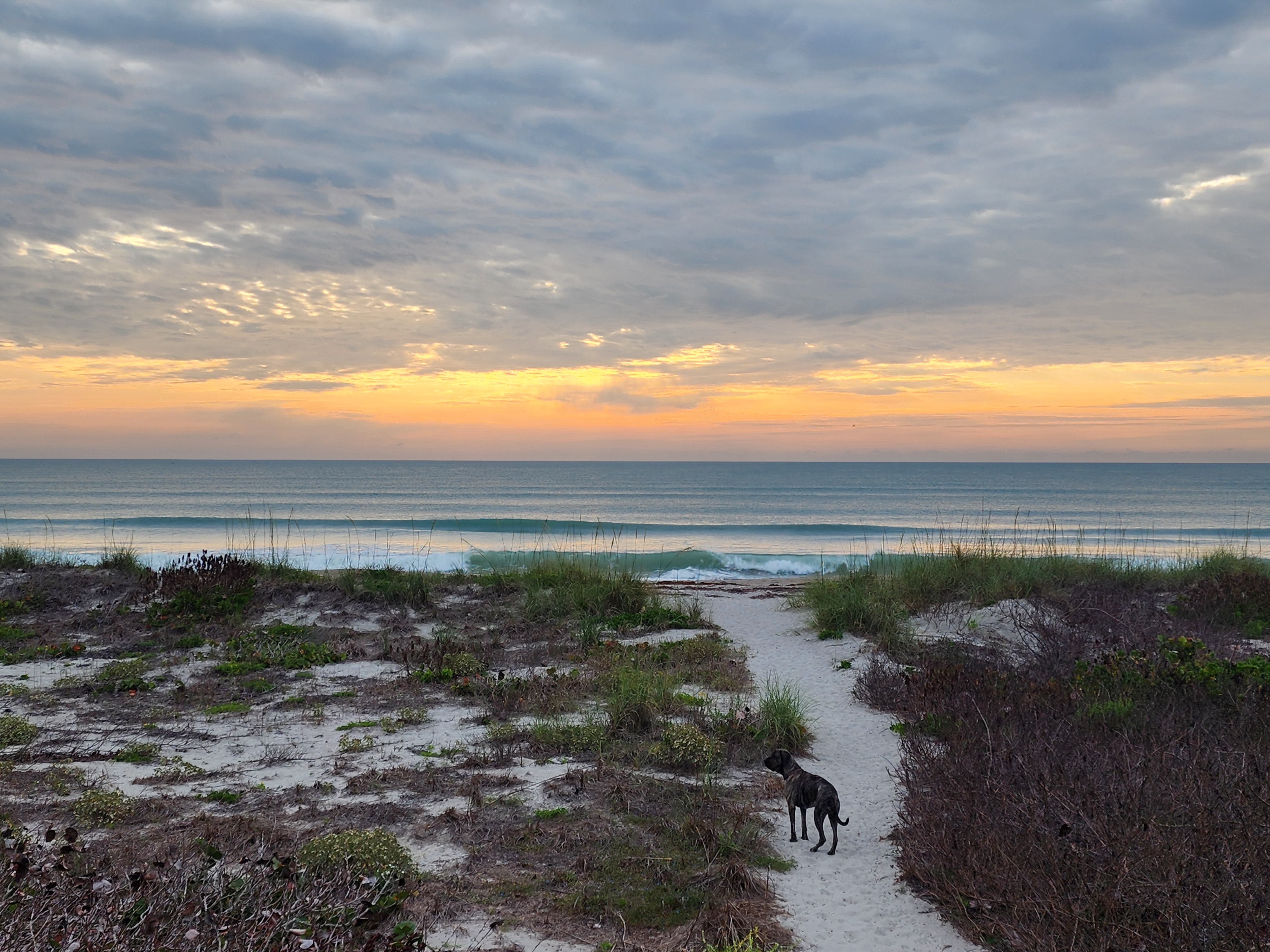 Long clean swell lines rolling into Picnic Tables South Cocoa Beach glassy conditions May Day