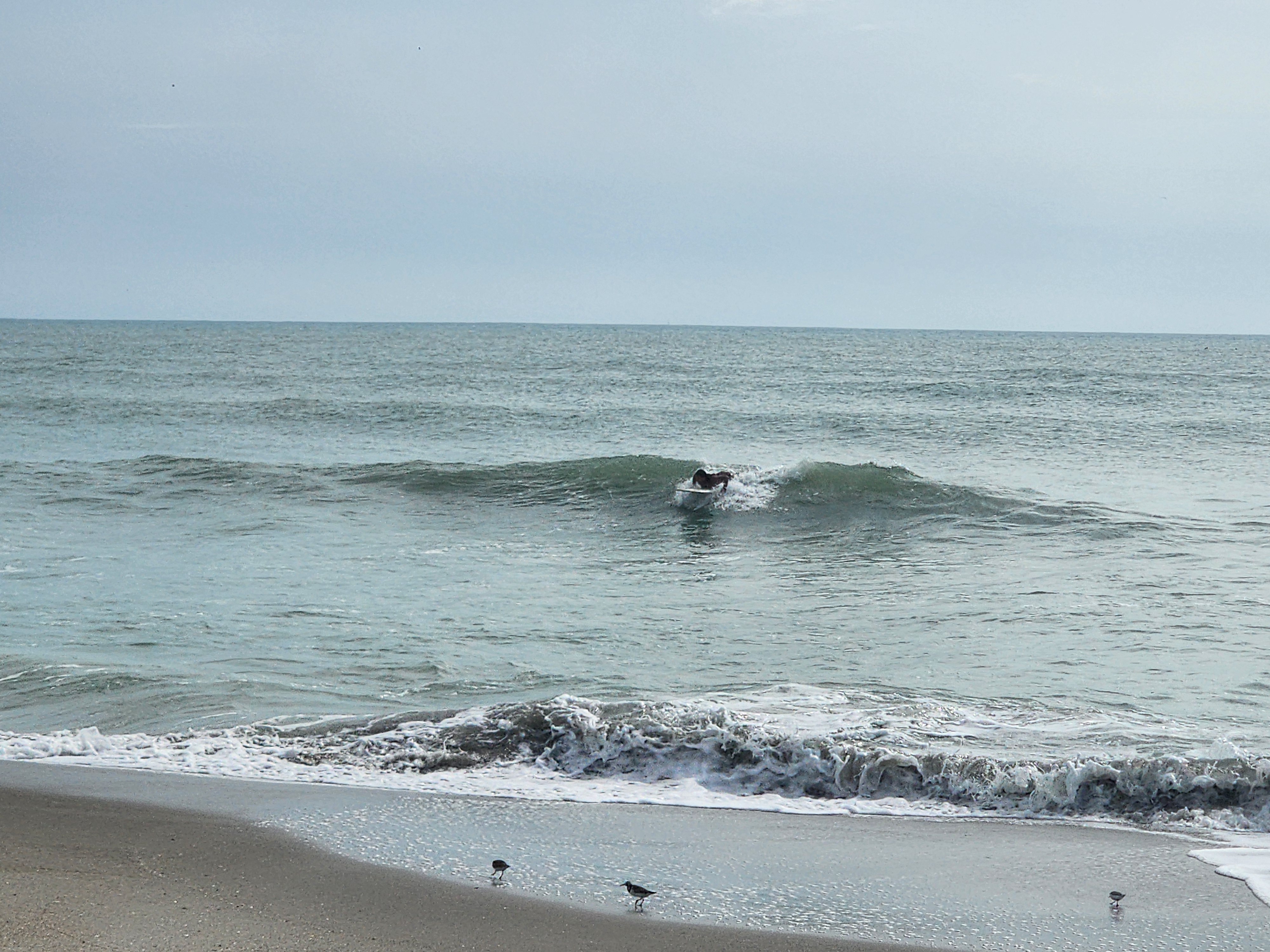 Golden hour light on clean offshore surf at 31st Street Cocoa Beach afternoon session