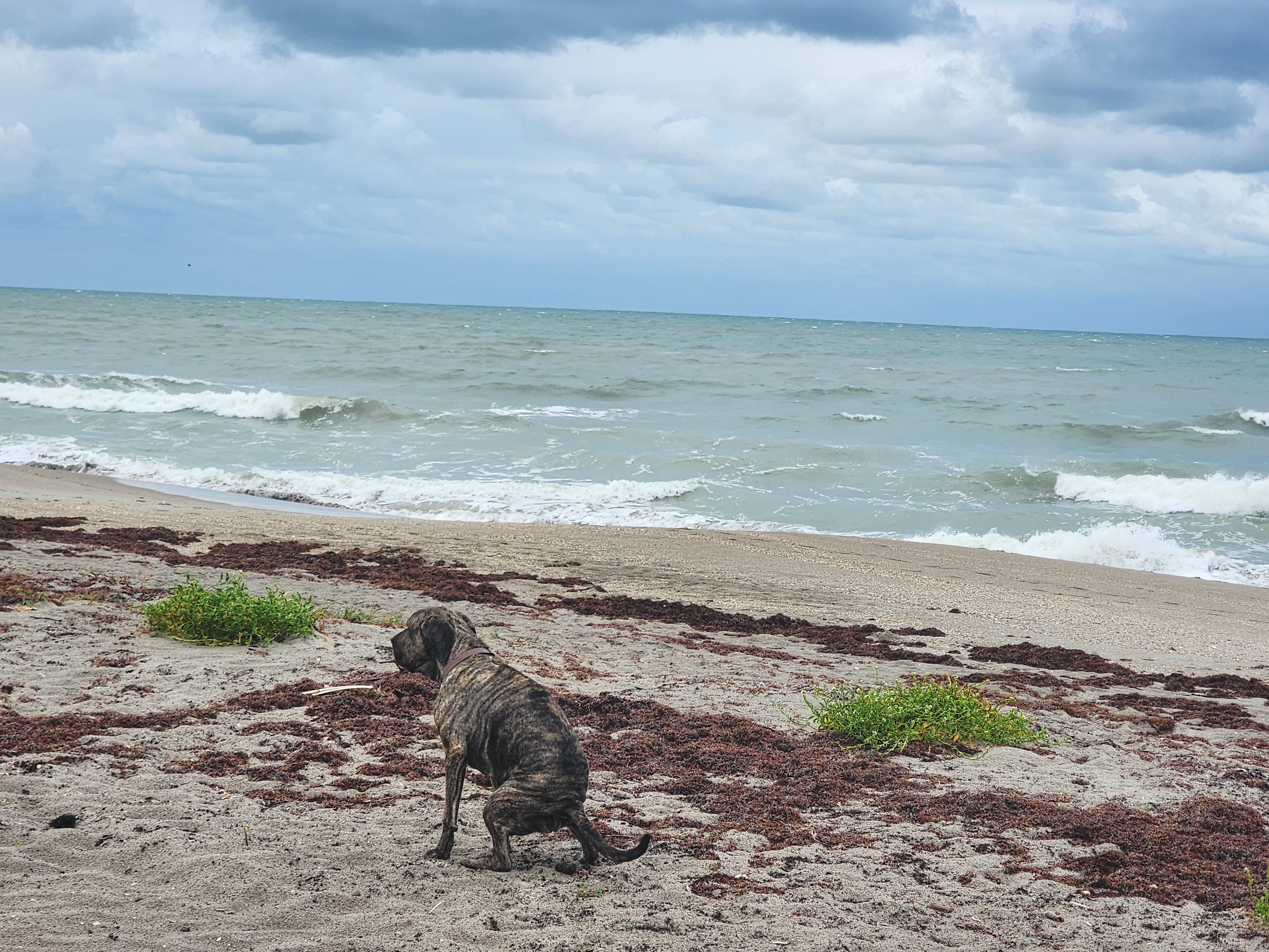 Nearly flat 1-2 foot surf at Picnic Tables South Cocoa Beach Sunday morning rest day May 3 2026