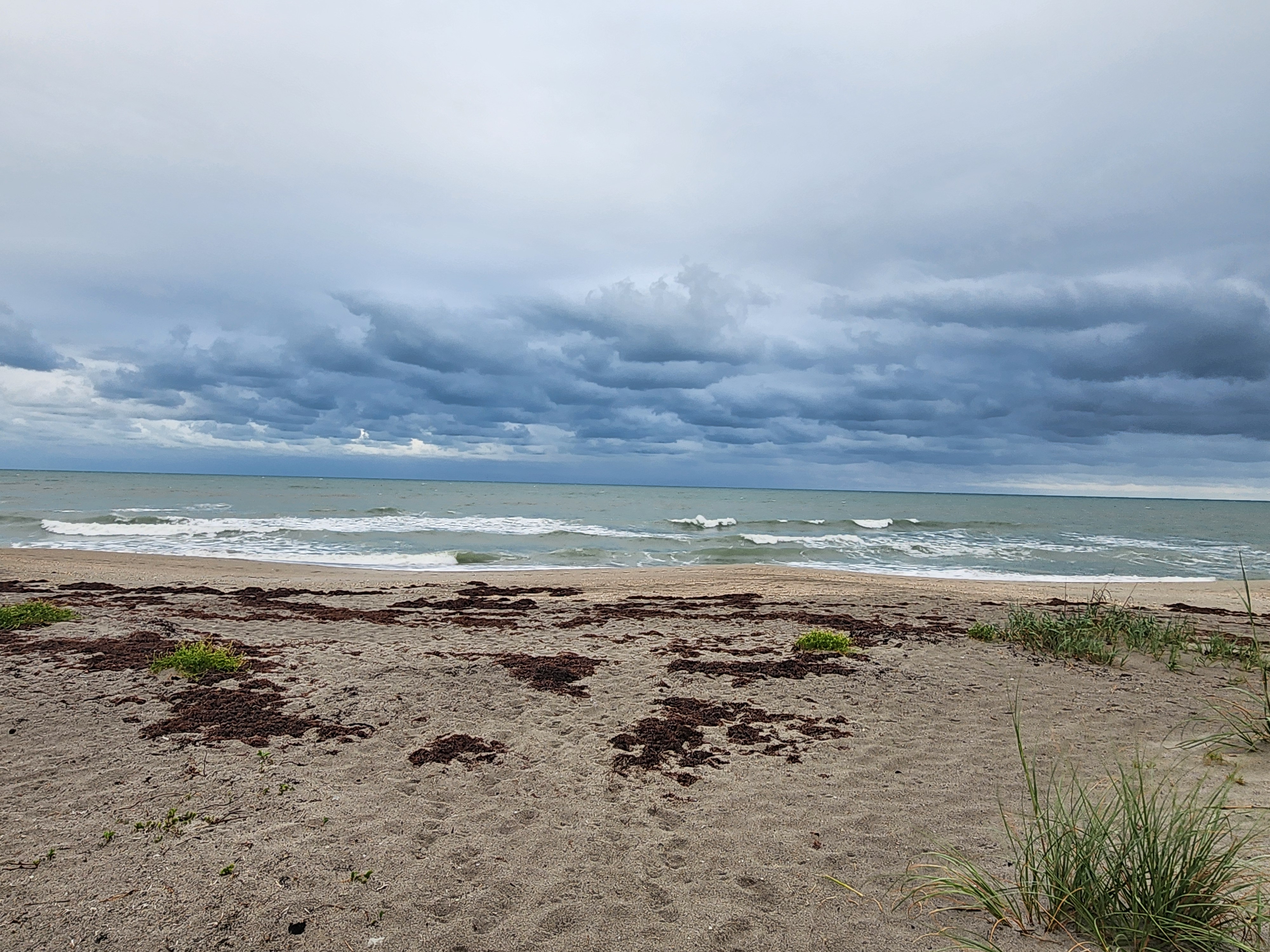 Athena on the sandy beach path with tiny waves barely breaking at 31st Street South Cocoa Beach