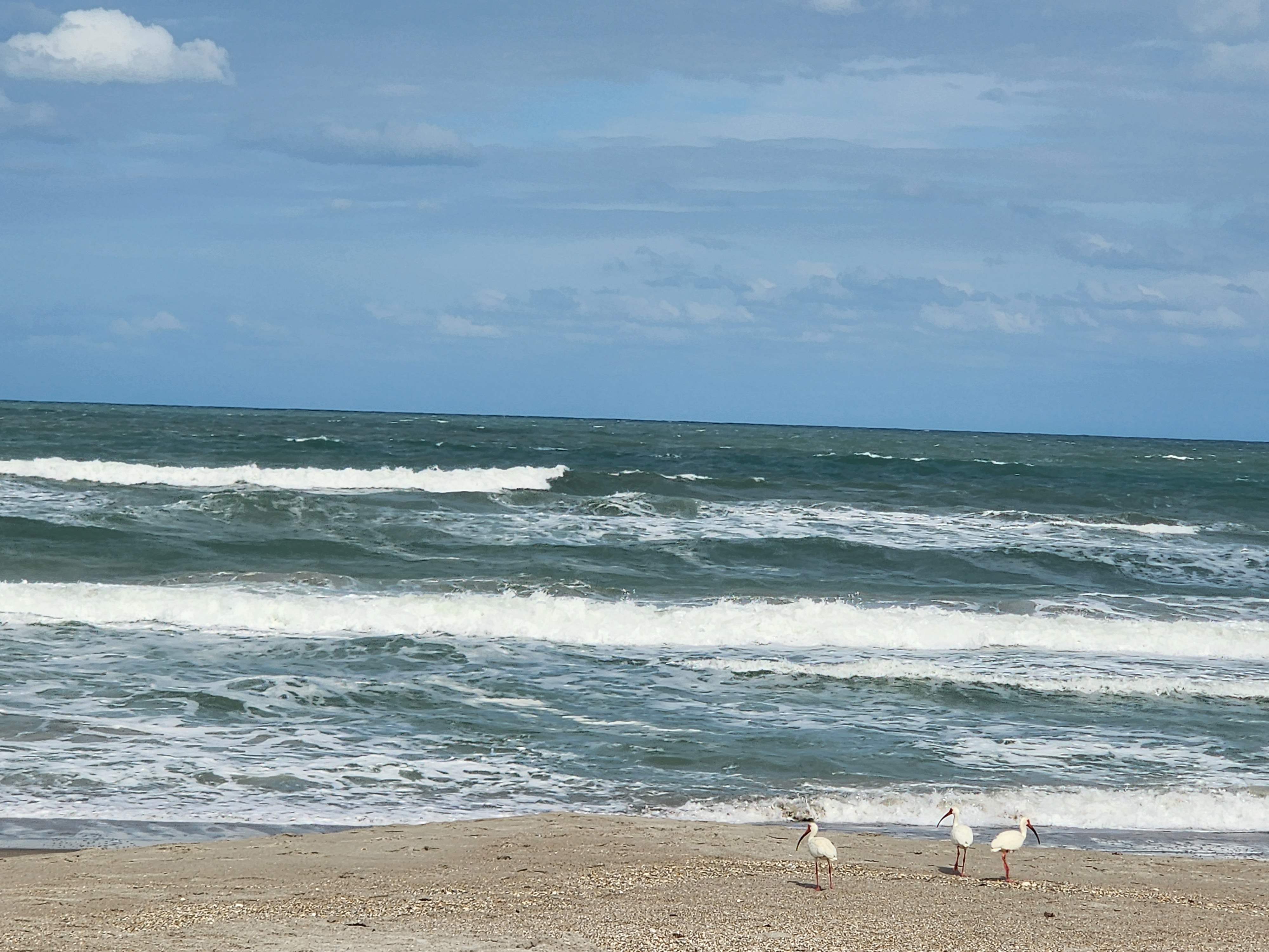 Blown out afternoon surf with no shape and wind gusts creating choppy conditions at Picnic Tables Cocoa Beach