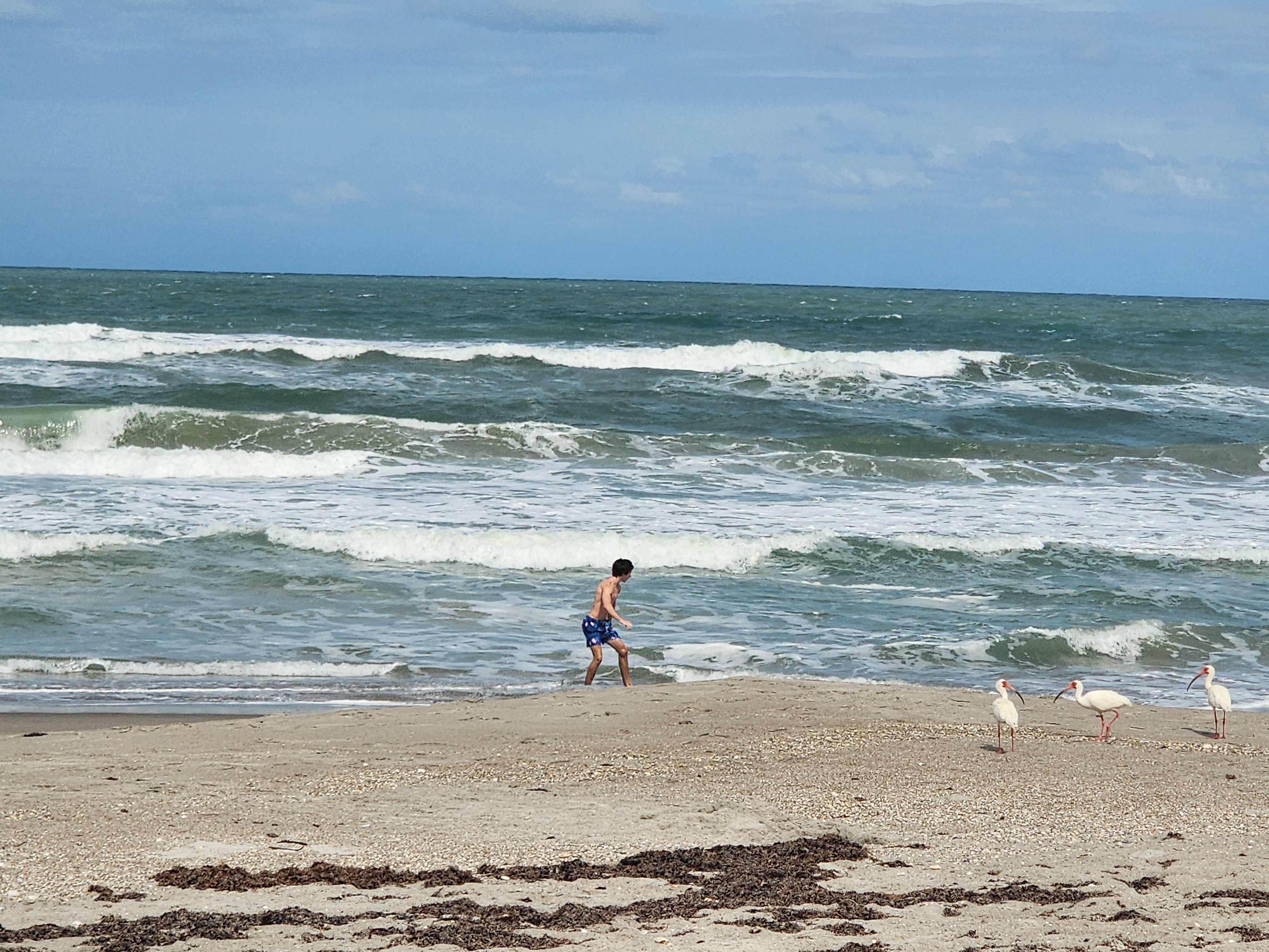 Multiple lines of whitewash and blown out waves at Picnic Tables South Cocoa Beach 20 mph wind