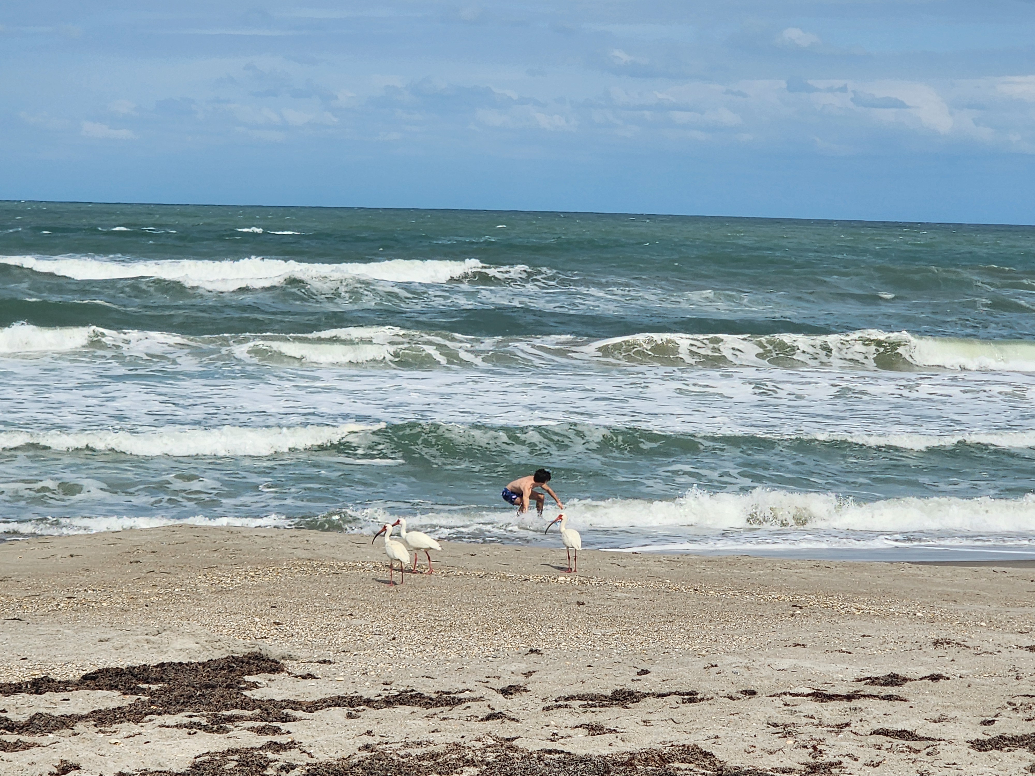 Athena on the dune path looking out at blown out choppy afternoon surf at 31st Street South Cocoa Beach