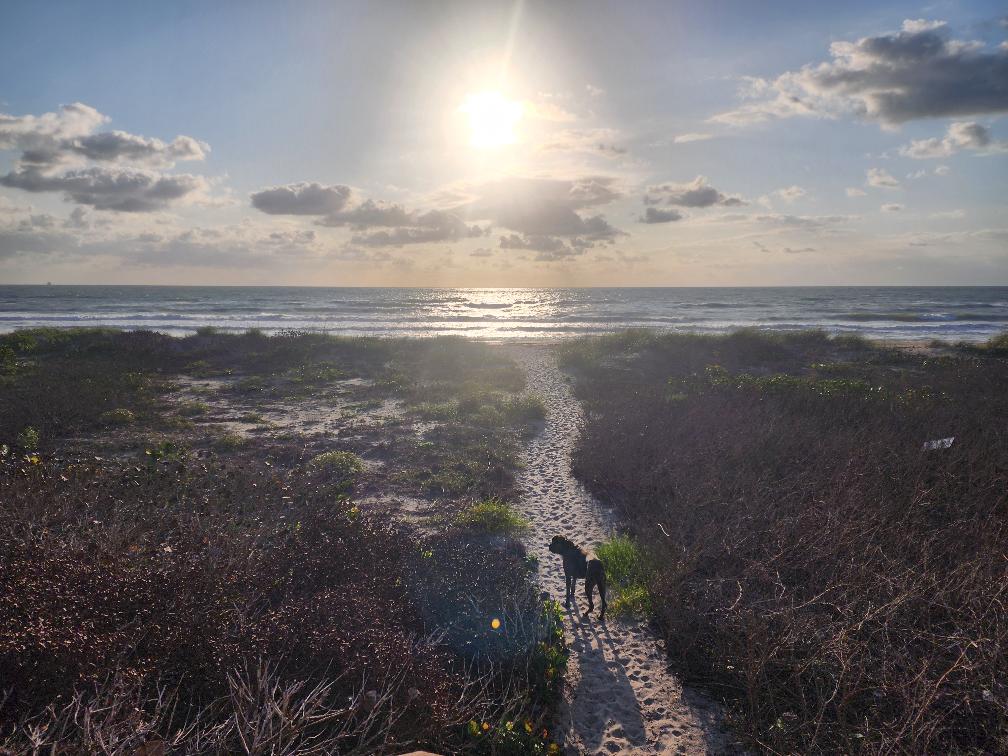 Athena on the sandy path to Picnic Tables at sunrise with choppy surf and sun flare South Cocoa Beach May 4 2026