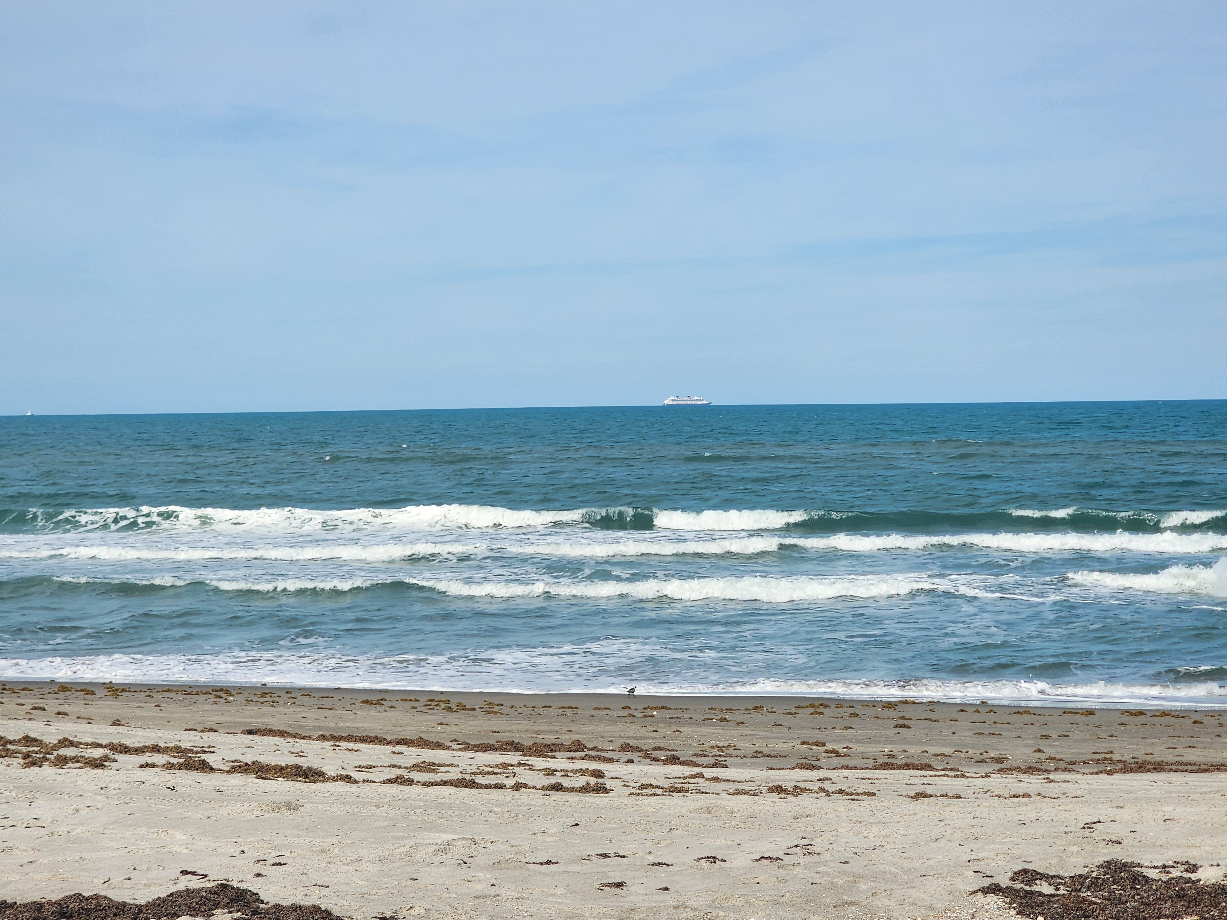 Choppy 1-2 foot surf with shorebird on the beach and cruise ship on horizon at 31st Street Cocoa Beach