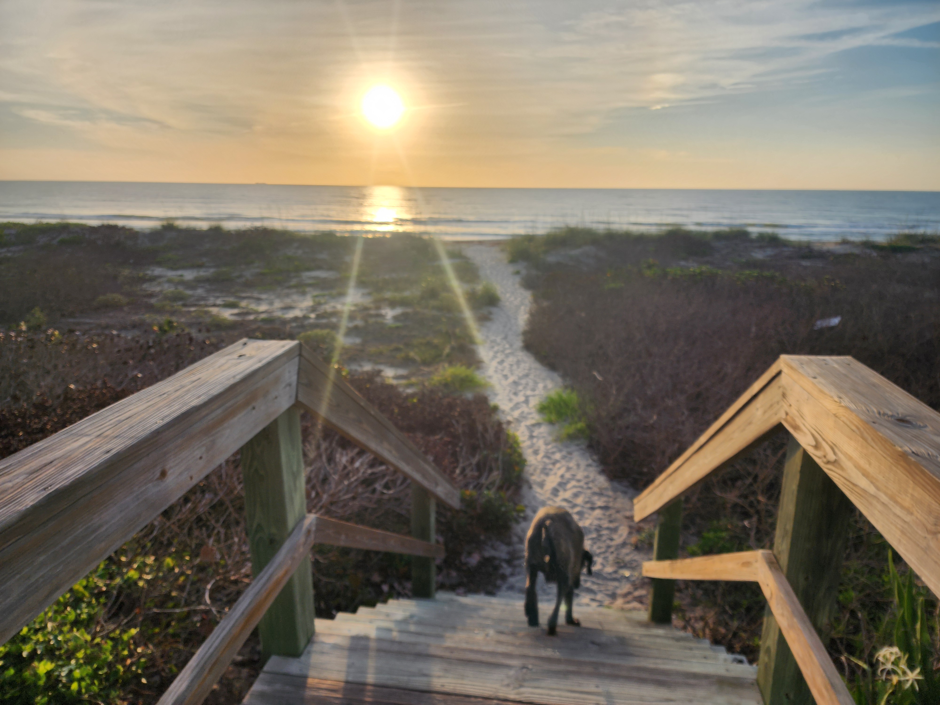 Athena heading down the 31st Street beach access stairs toward the ocean at sunrise Cocoa Beach