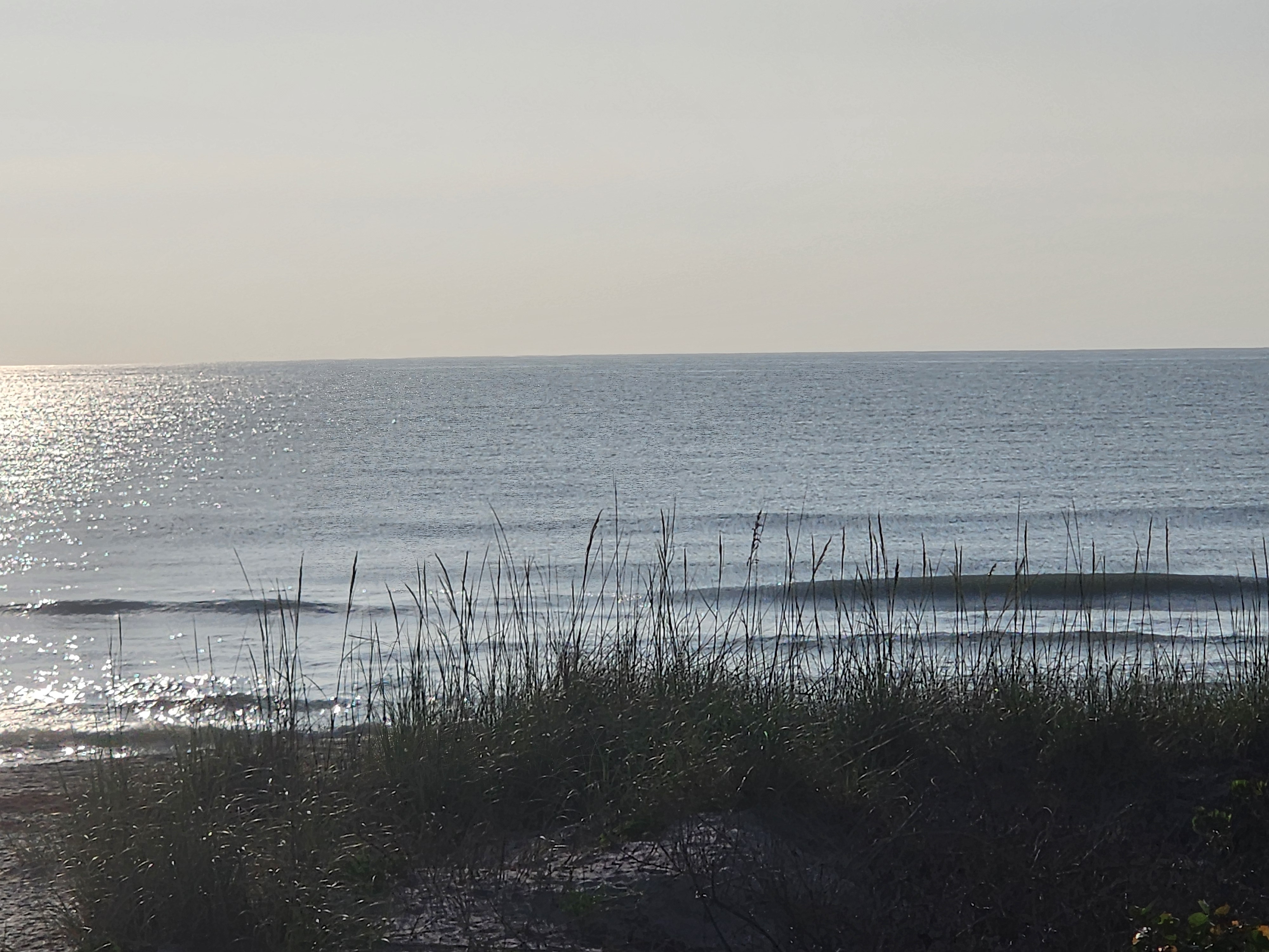 Tiny glassy 1 foot wave peeling through sea oats with silvery light on flat calm ocean at Picnic Tables South Cocoa Beach
