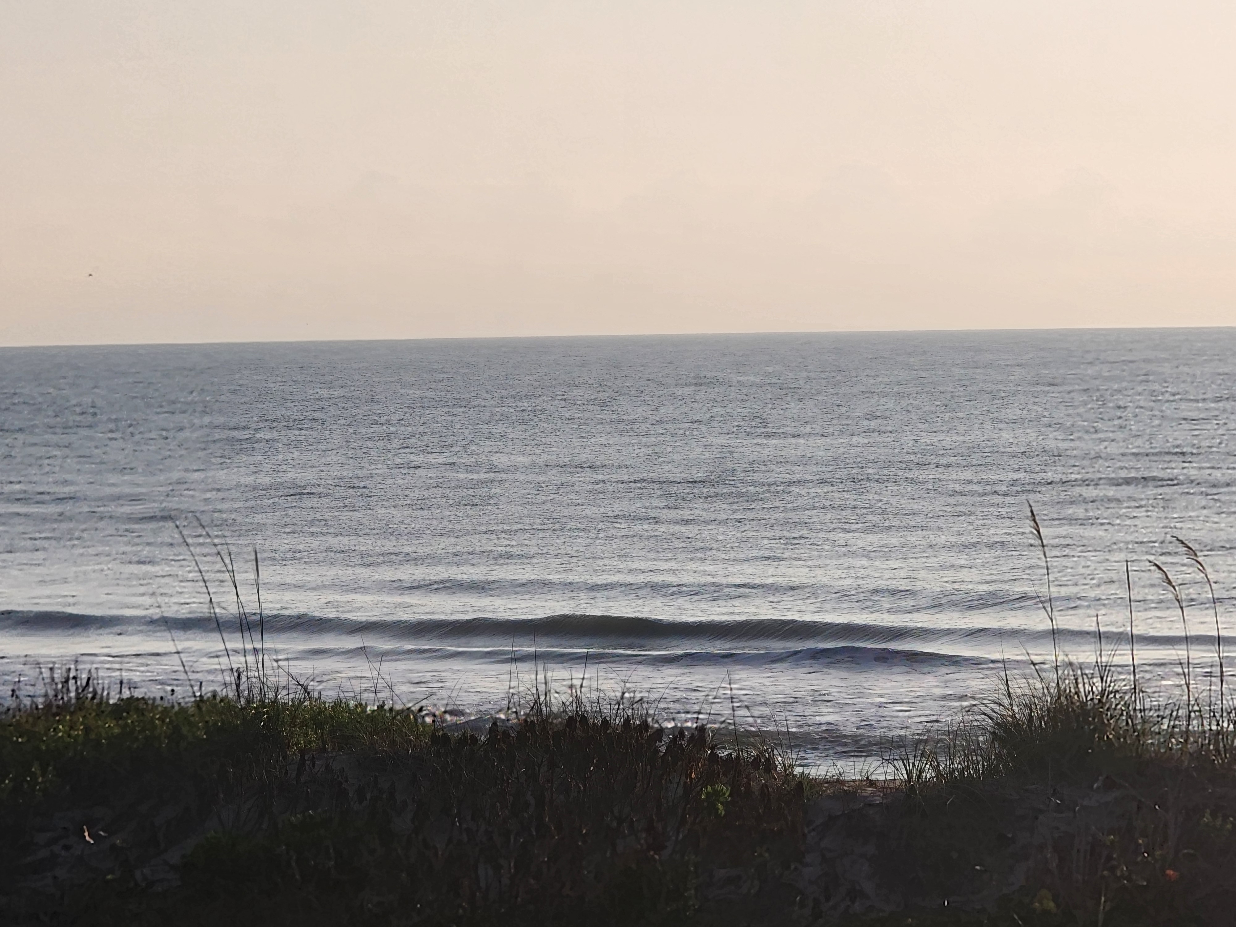 Glassy 1 foot wave breaking nearshore with silvery calm ocean viewed over dune vegetation at Picnic Tables South Cocoa Beach May 9 2026