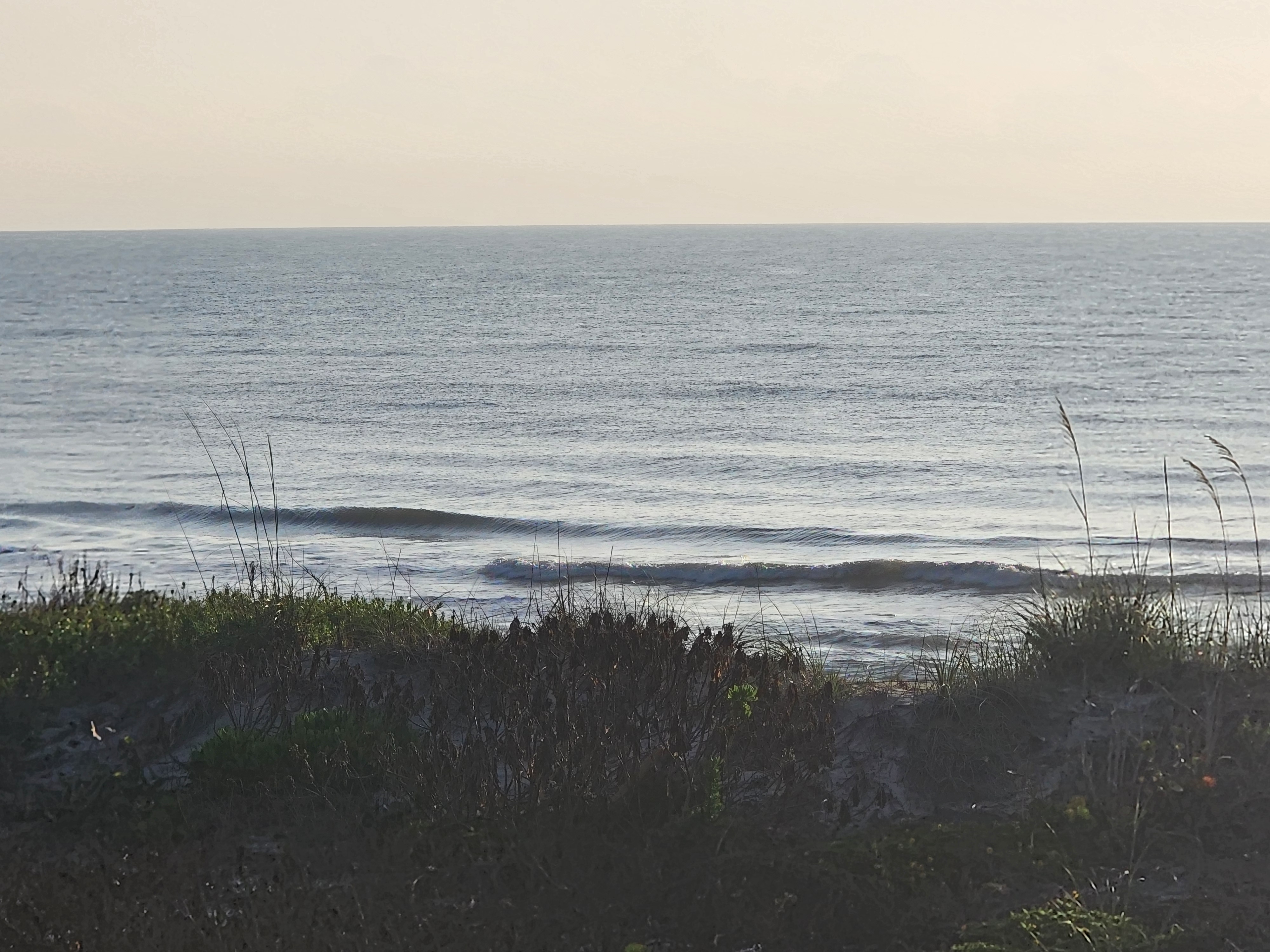 Very glassy small wave peeling nearshore through sea oats and dune vegetation at Picnic Tables South Cocoa Beach Saturday morning