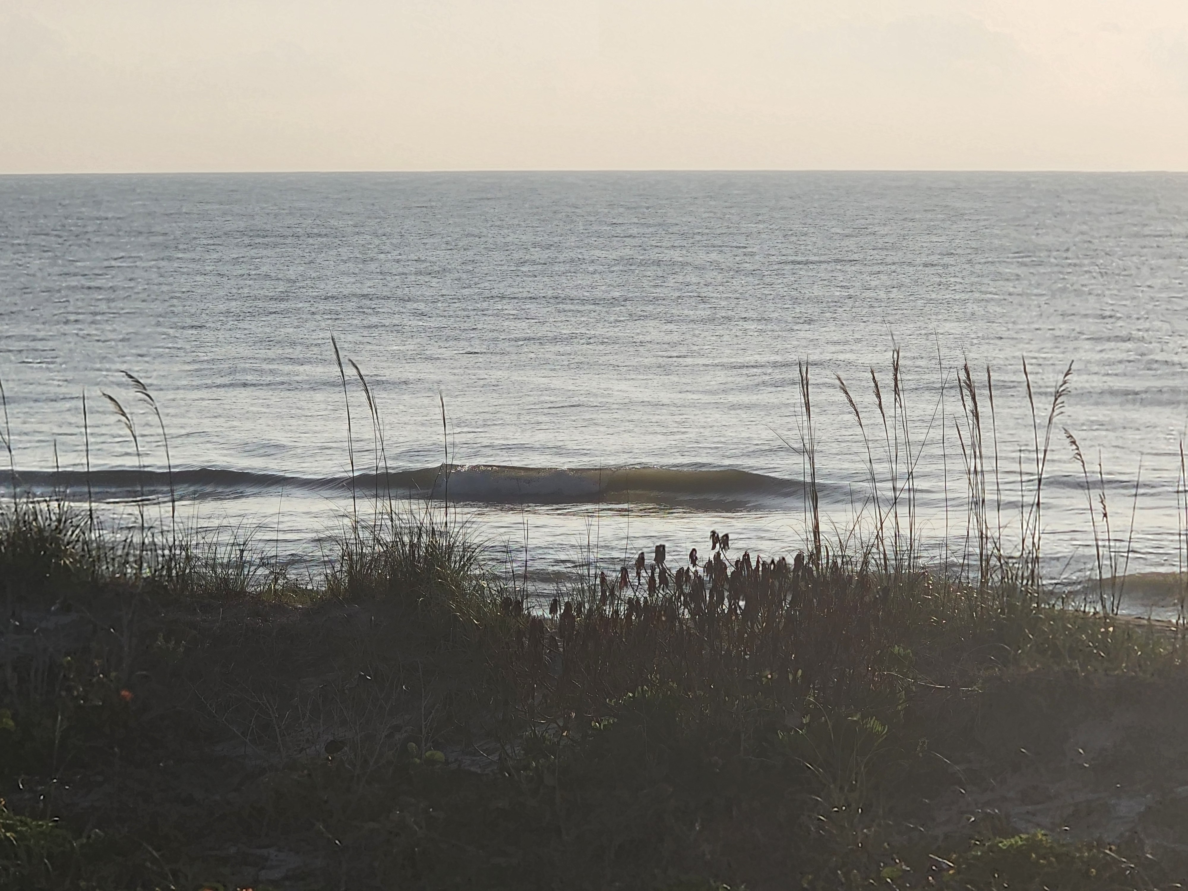 Backlit glassy wave breaking nearshore with sea oats silhouetted and sun reflecting off calm water at Picnic Tables South Cocoa Beach
