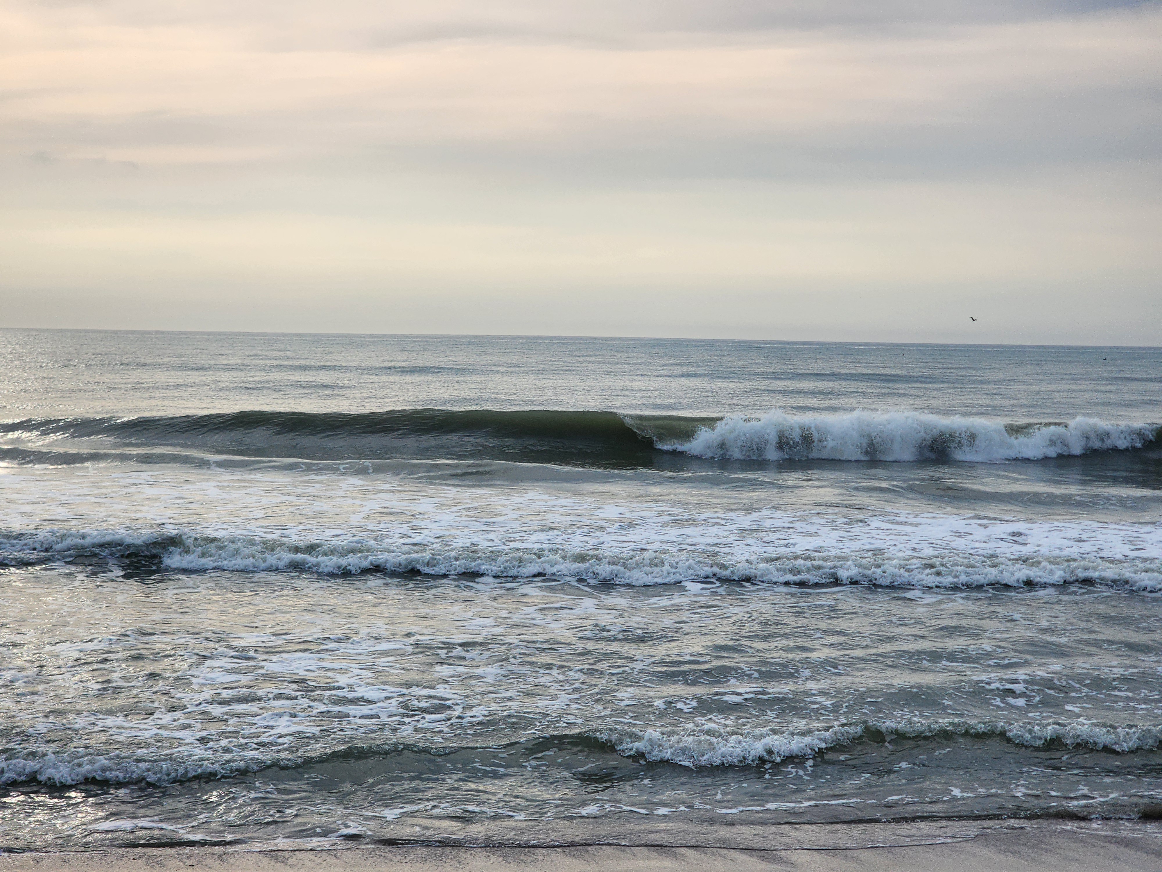 Clean 2 foot plus wave with green face breaking right at lowtide sandbars at Picnic Tables South Cocoa Beach SW winds