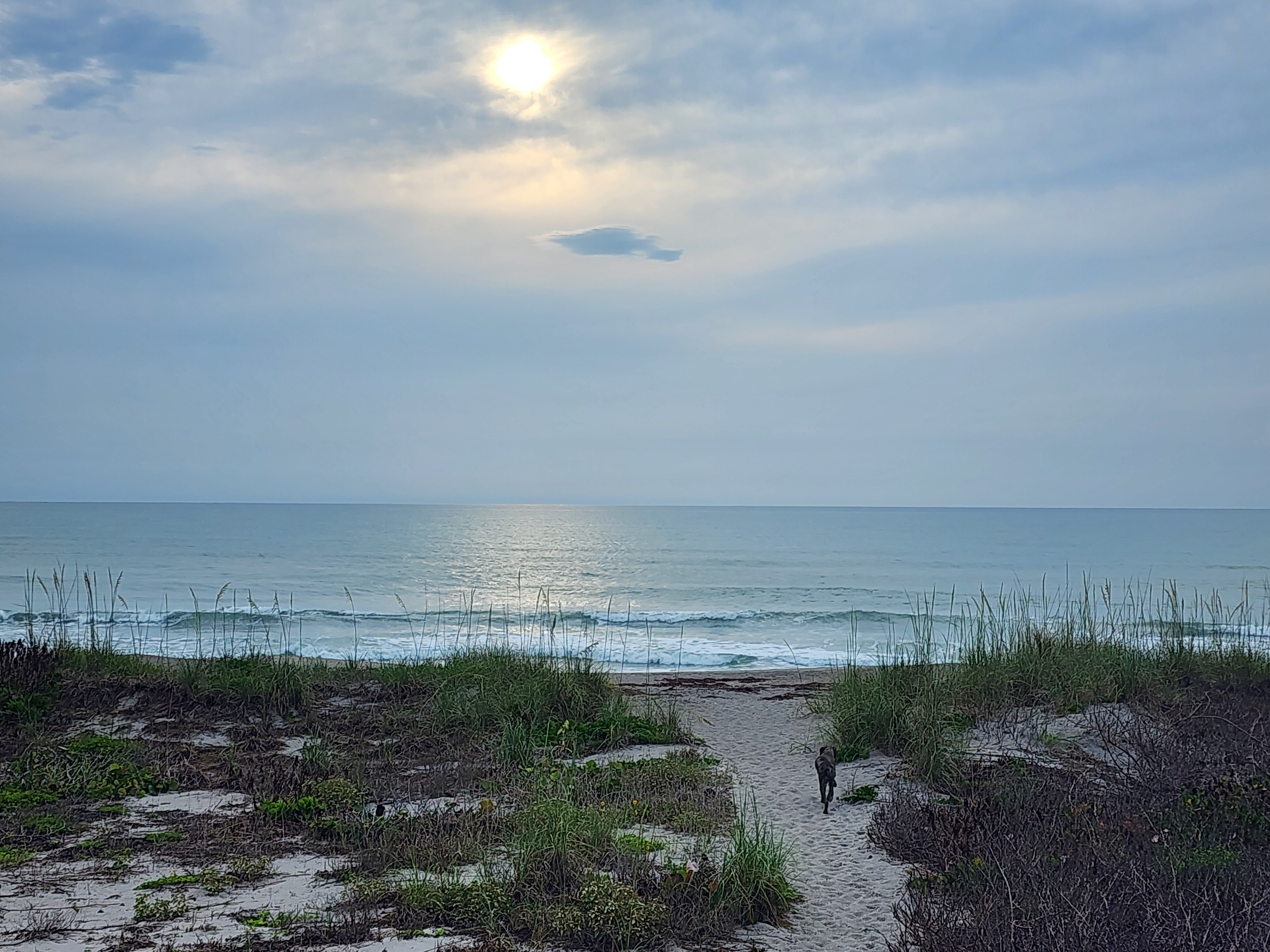 Athena heading down the sandy beach path toward the ocean with small clean waves breaking under overcast skies at Picnic Tables South Cocoa Beach Monday May 11 2026