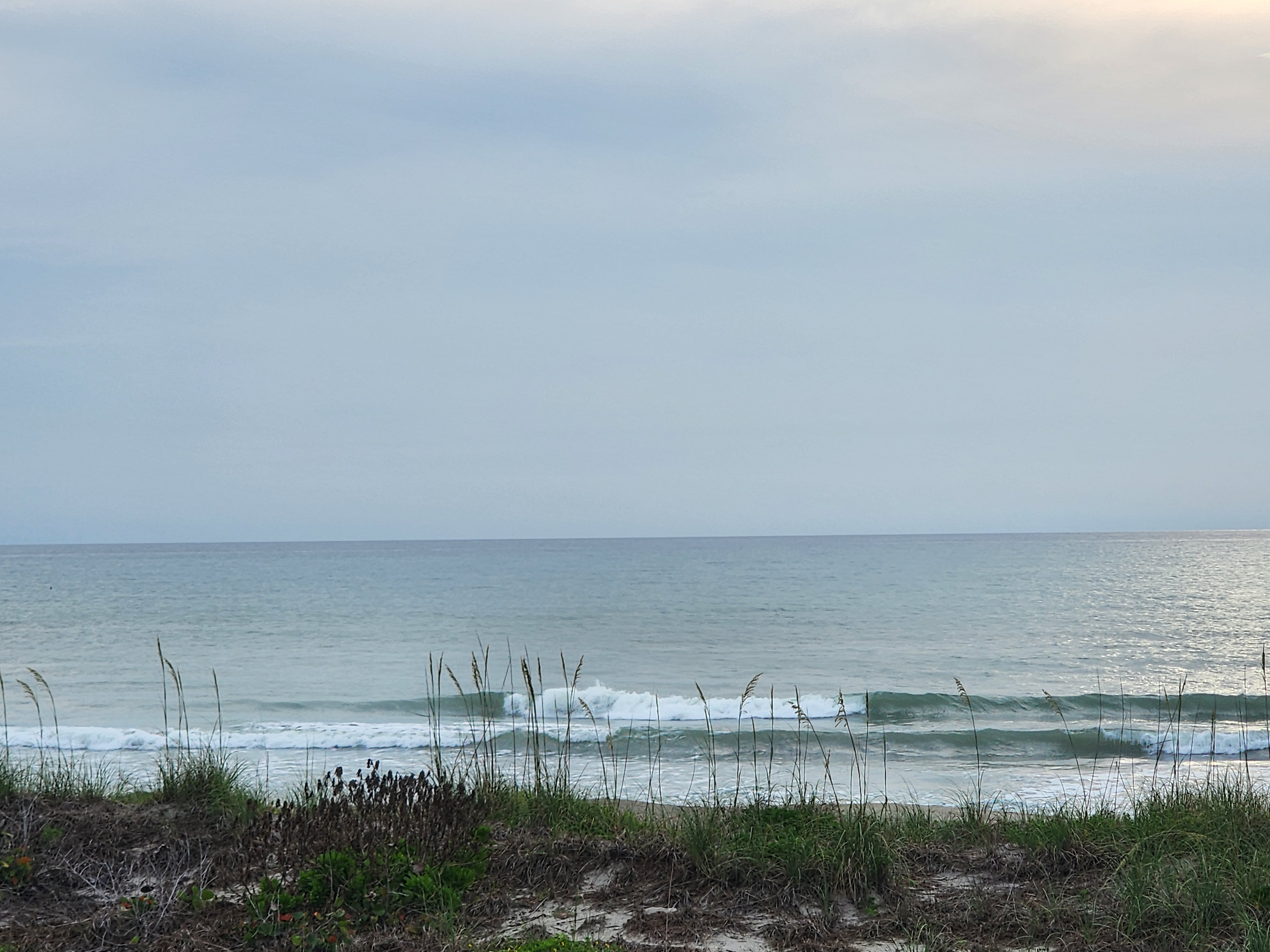 2 foot swell lines breaking nearshore through sea oats and dune vegetation at Picnic Tables South Cocoa Beach Monday lowtide