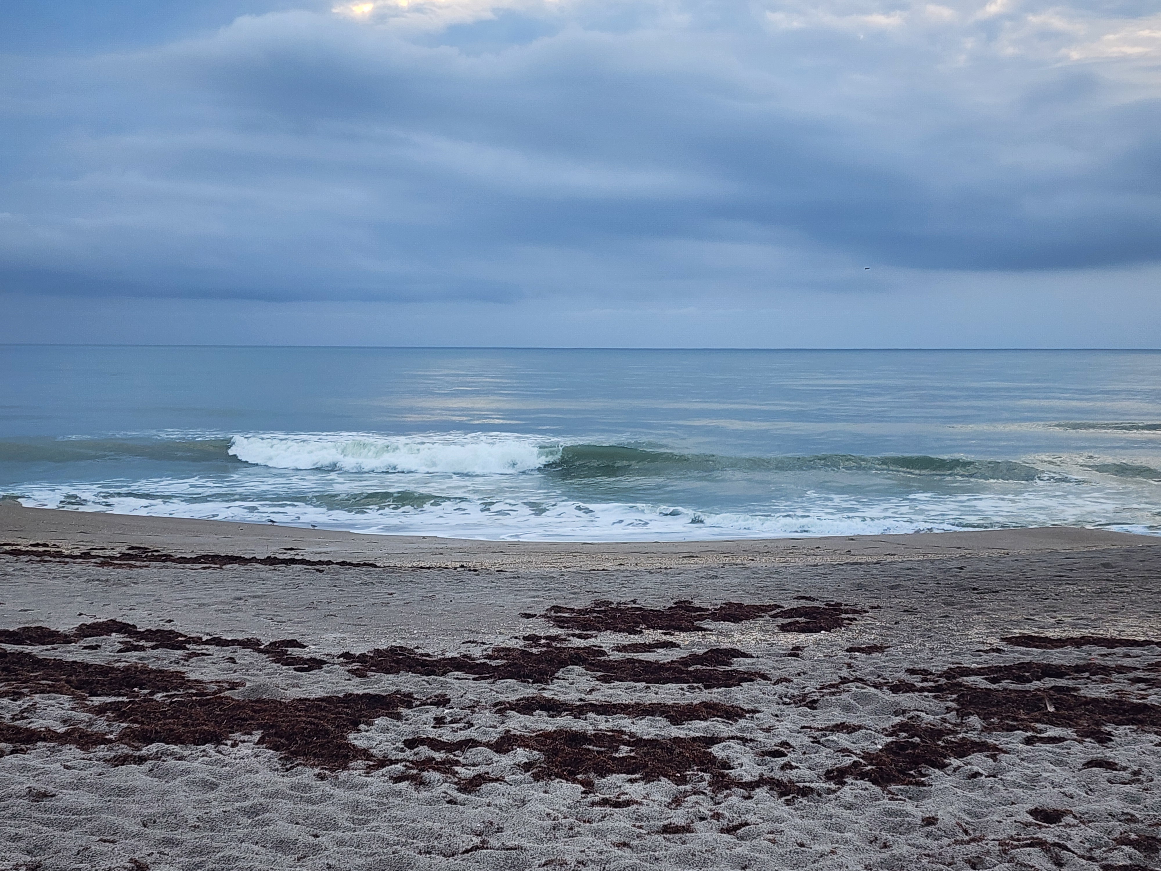 Small clean wave breaking nearshore