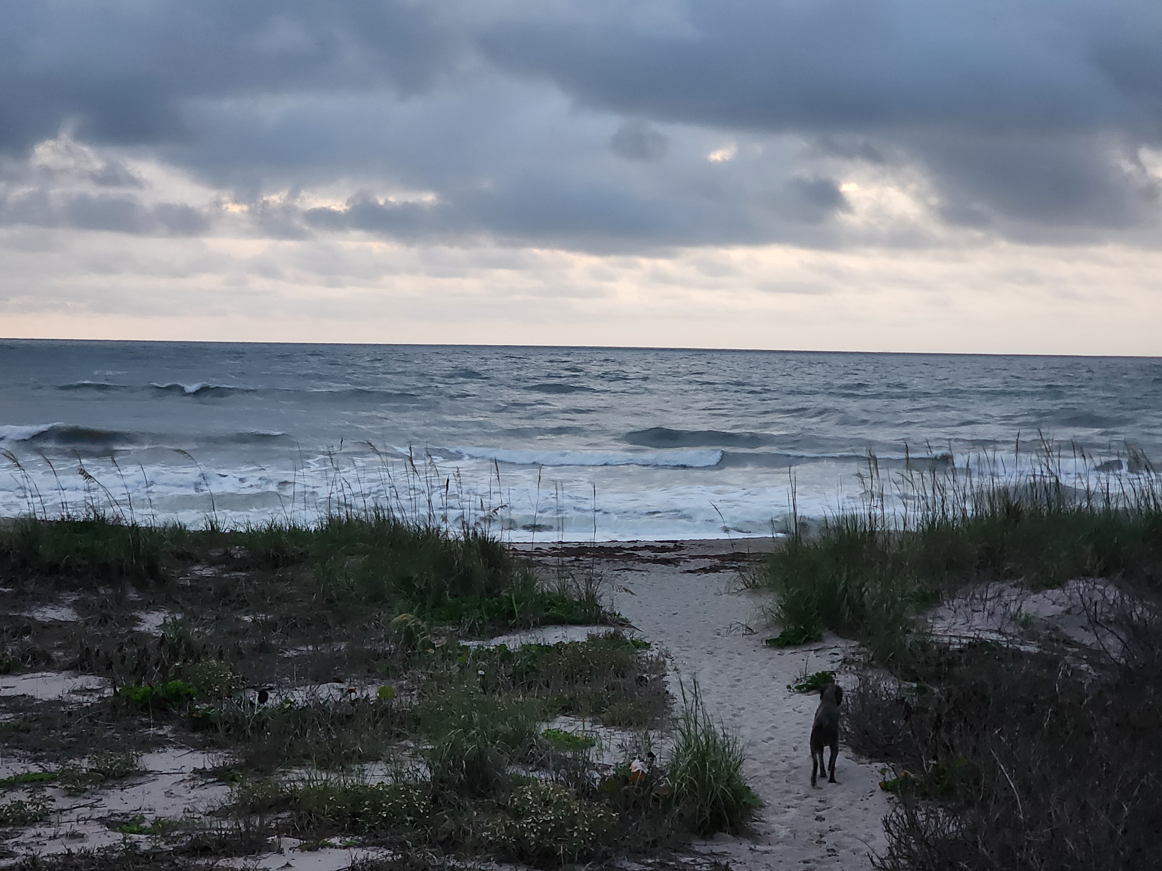 Athena walking down the sandy beach path toward 3-4 foot choppy surf with dramatic overcast skies and sea oats at Picnic Tables South Cocoa Beach Wednesday May 13 2026