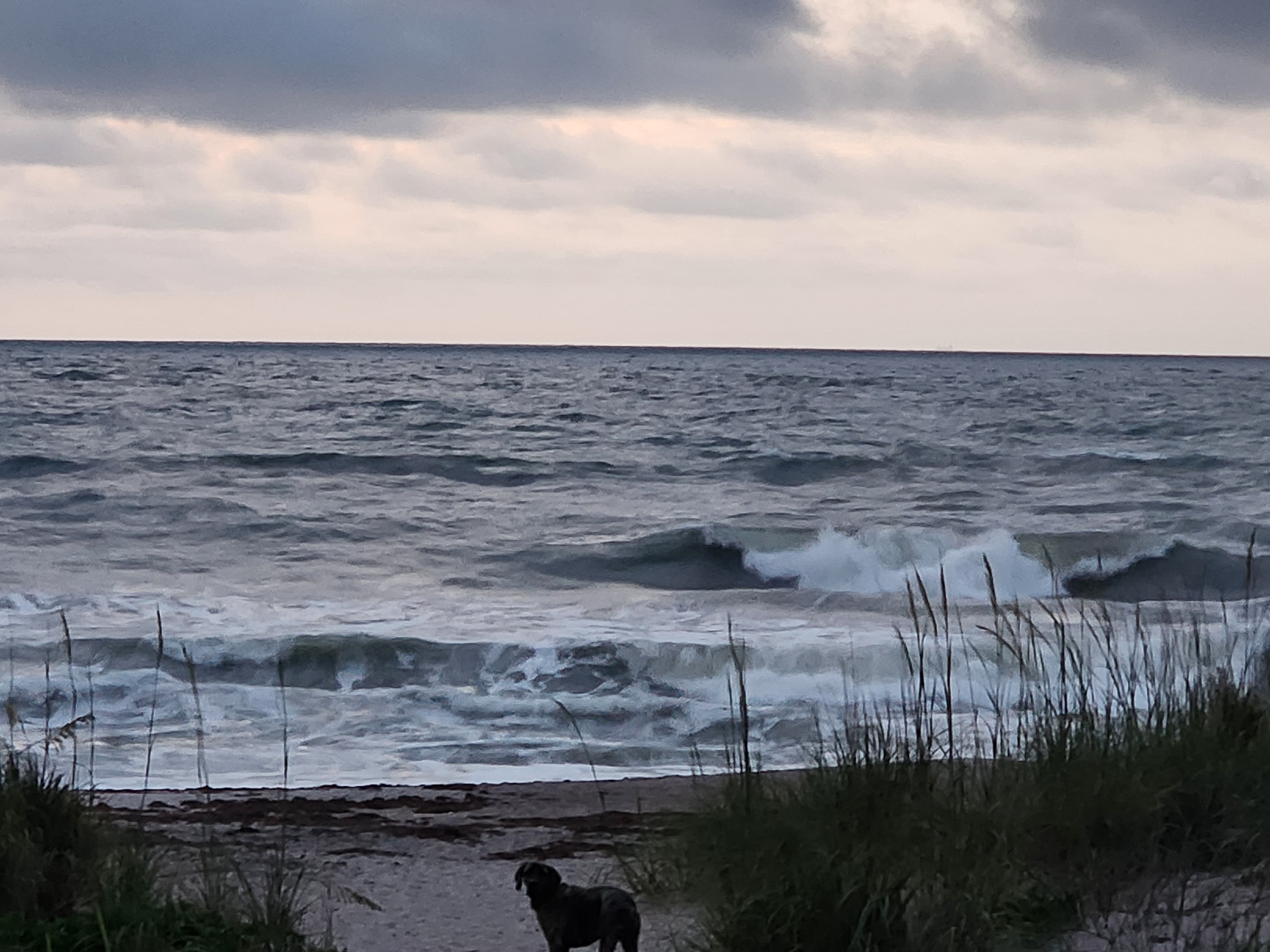 Bumpy 3-4 foot ESE windswell breaking nearshore with Athena on the sand path and sea oats in foreground at Picnic Tables South Cocoa Beach SE winds