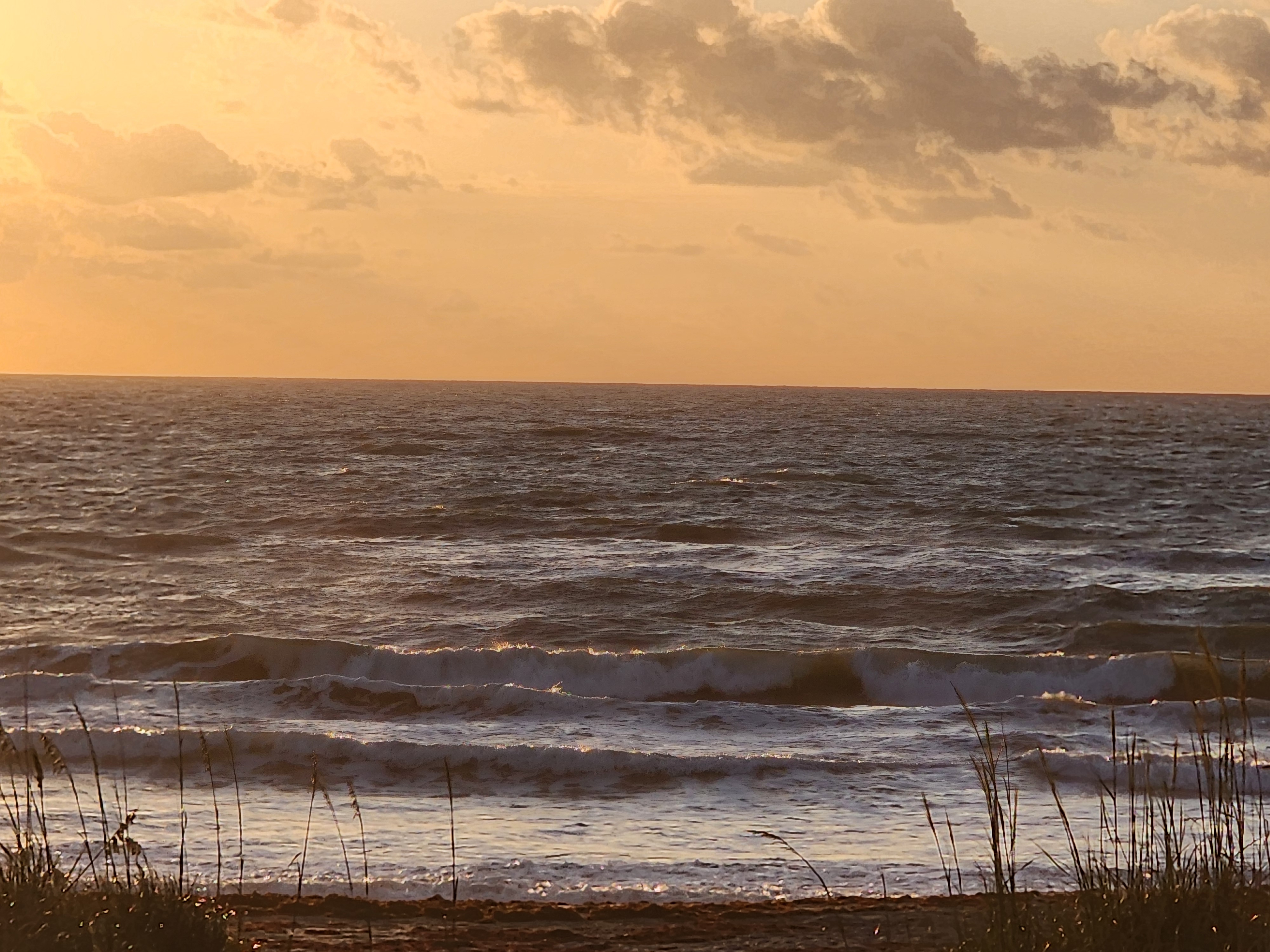 Cocoa Beach surf photo 2 — 2-3' and windy at low tide — onshore chop with heavy sargassum on the beach