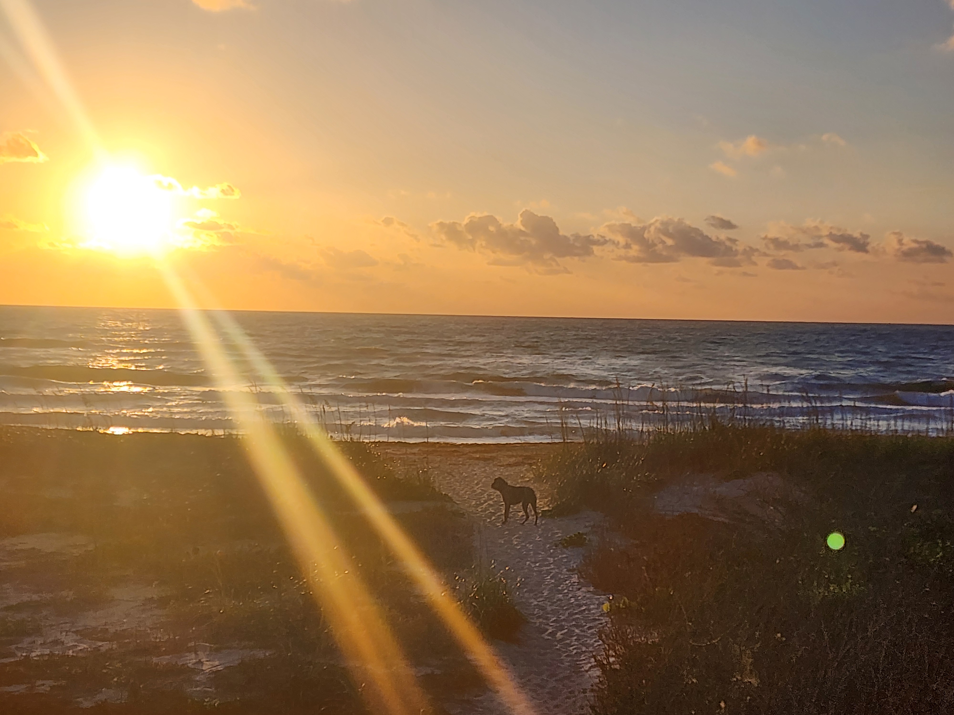 Cocoa Beach surf photo 3 — 2-3' and windy at low tide — onshore chop with heavy sargassum on the beach