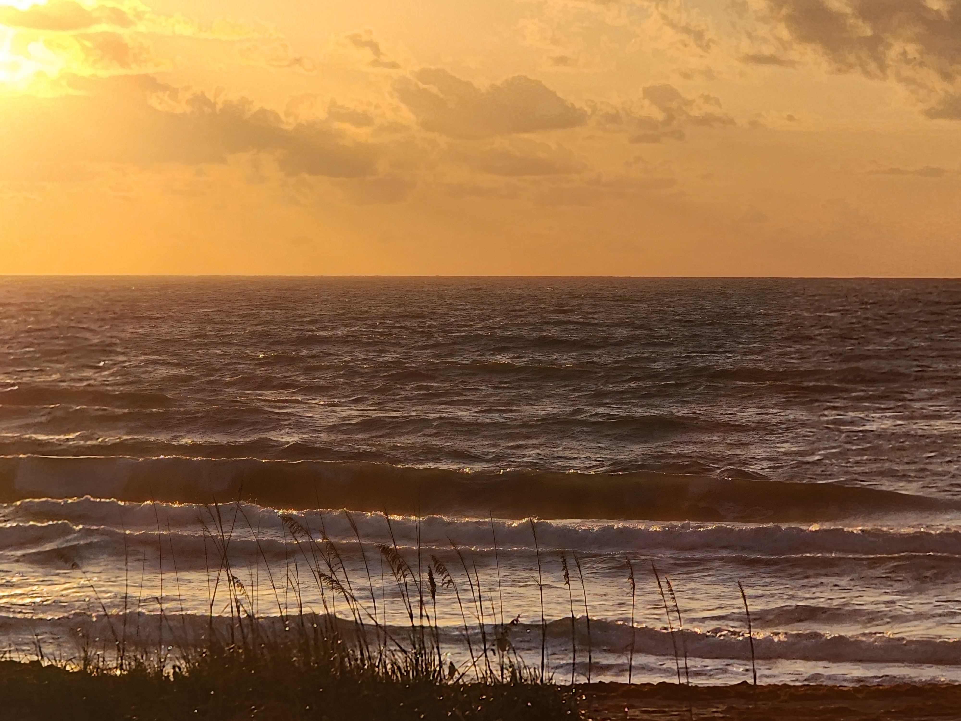 Cocoa Beach surf photo 4 — 2-3' and windy at low tide — onshore chop with heavy sargassum on the beach