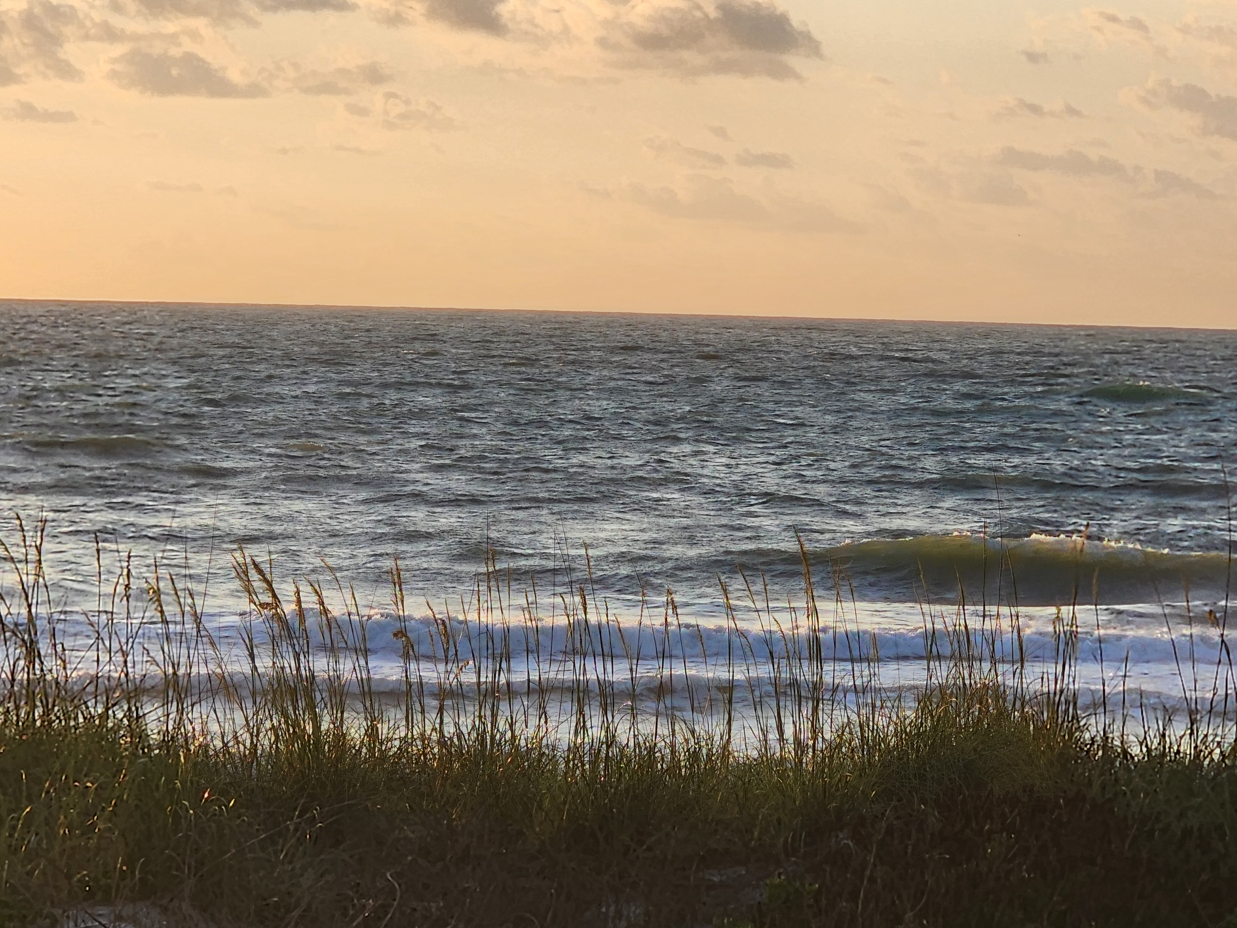 Cocoa Beach surf photo 5 — 2-3' and windy at low tide — onshore chop with heavy sargassum on the beach
