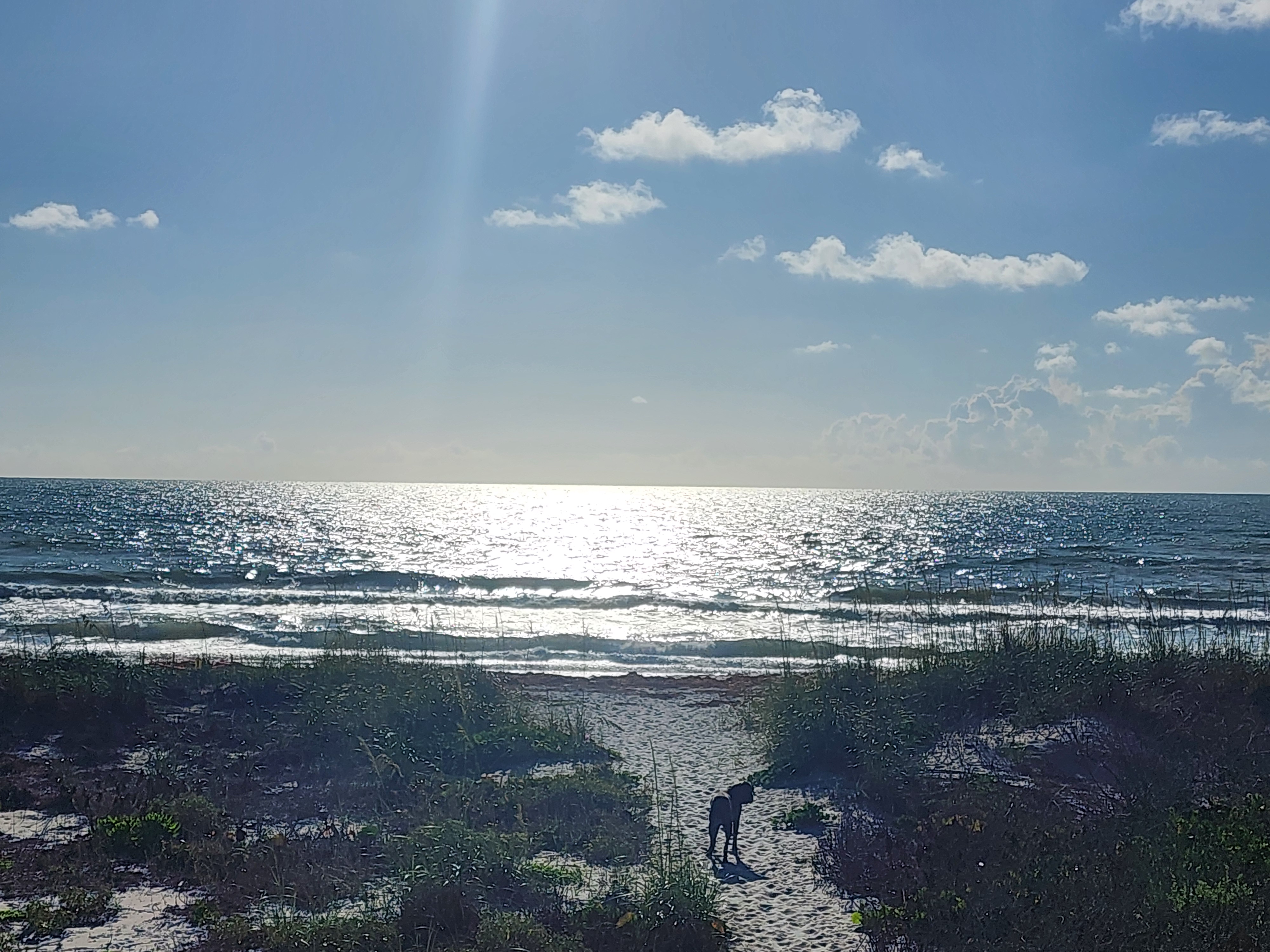 Clean green waves breaking at Picnic Tables with white caps and sea oats framing the view from the dune crossover on a sunny morning