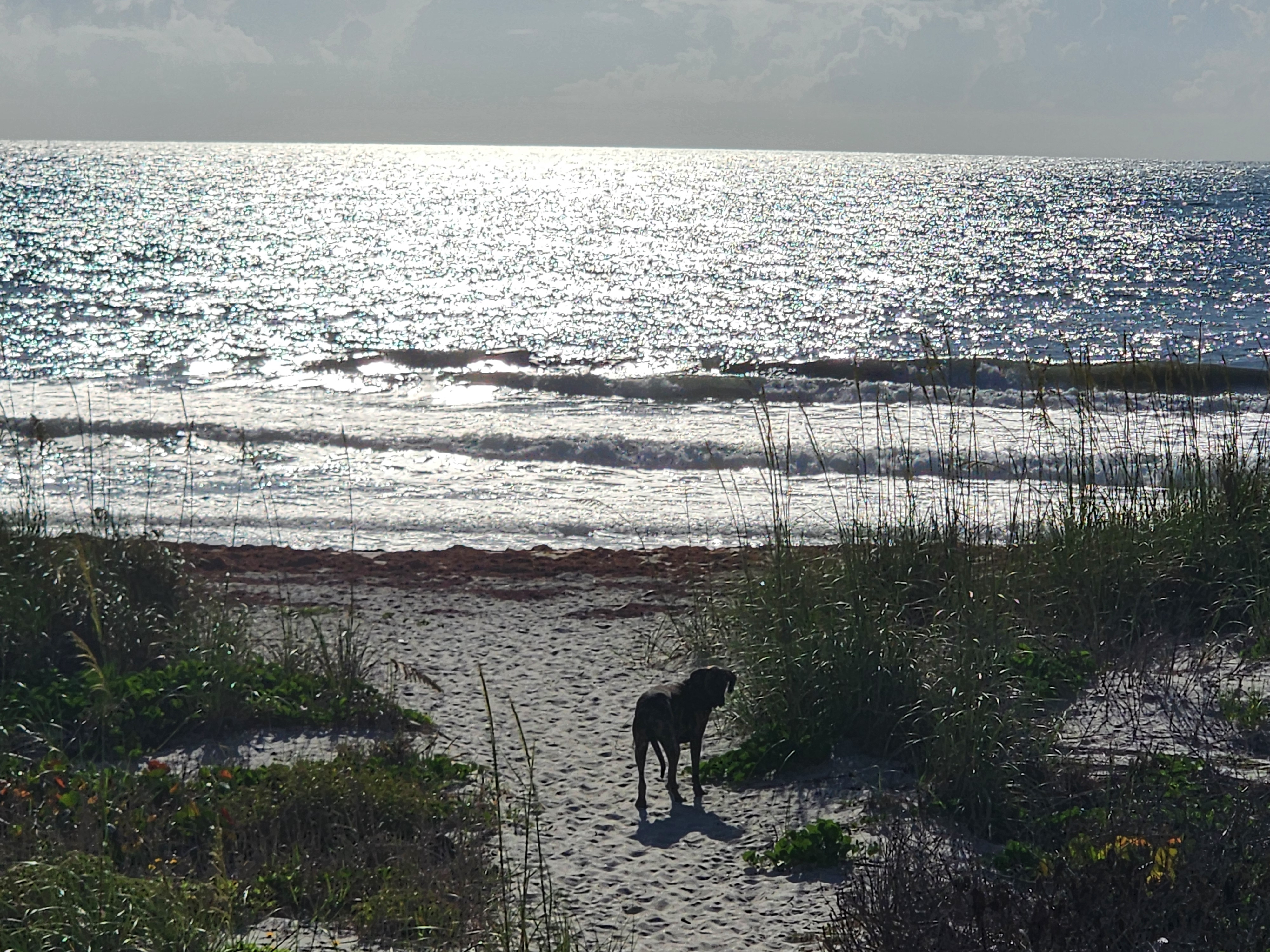 Cocoa Beach surf conditions at Picnic Tables — 2026-05-21