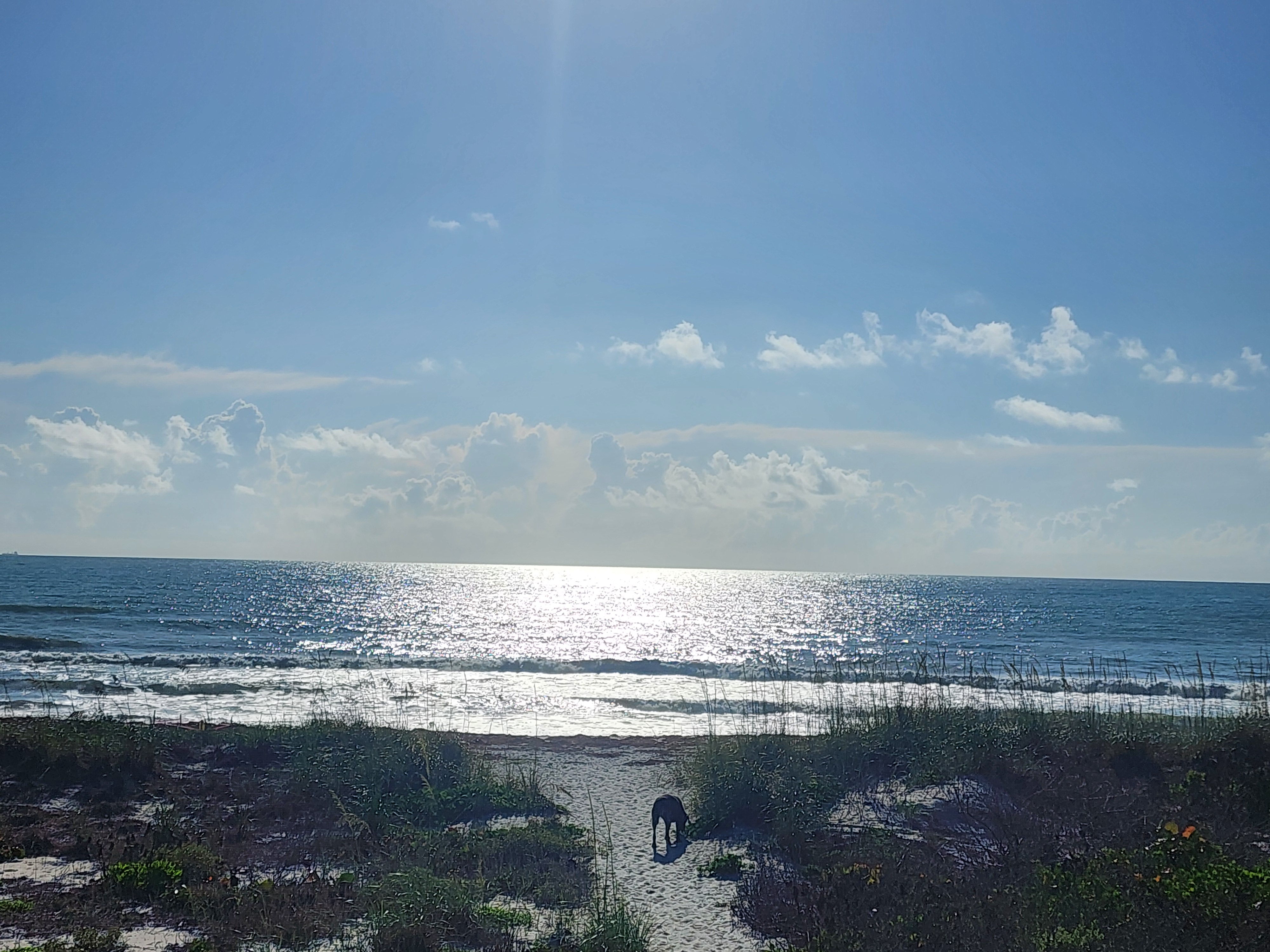 Cocoa Beach surf photo 2 — 2-3' midtide incoming with easing winds at 7-10 kts — fun for shortboard or longboard. Still lots of seaweed.