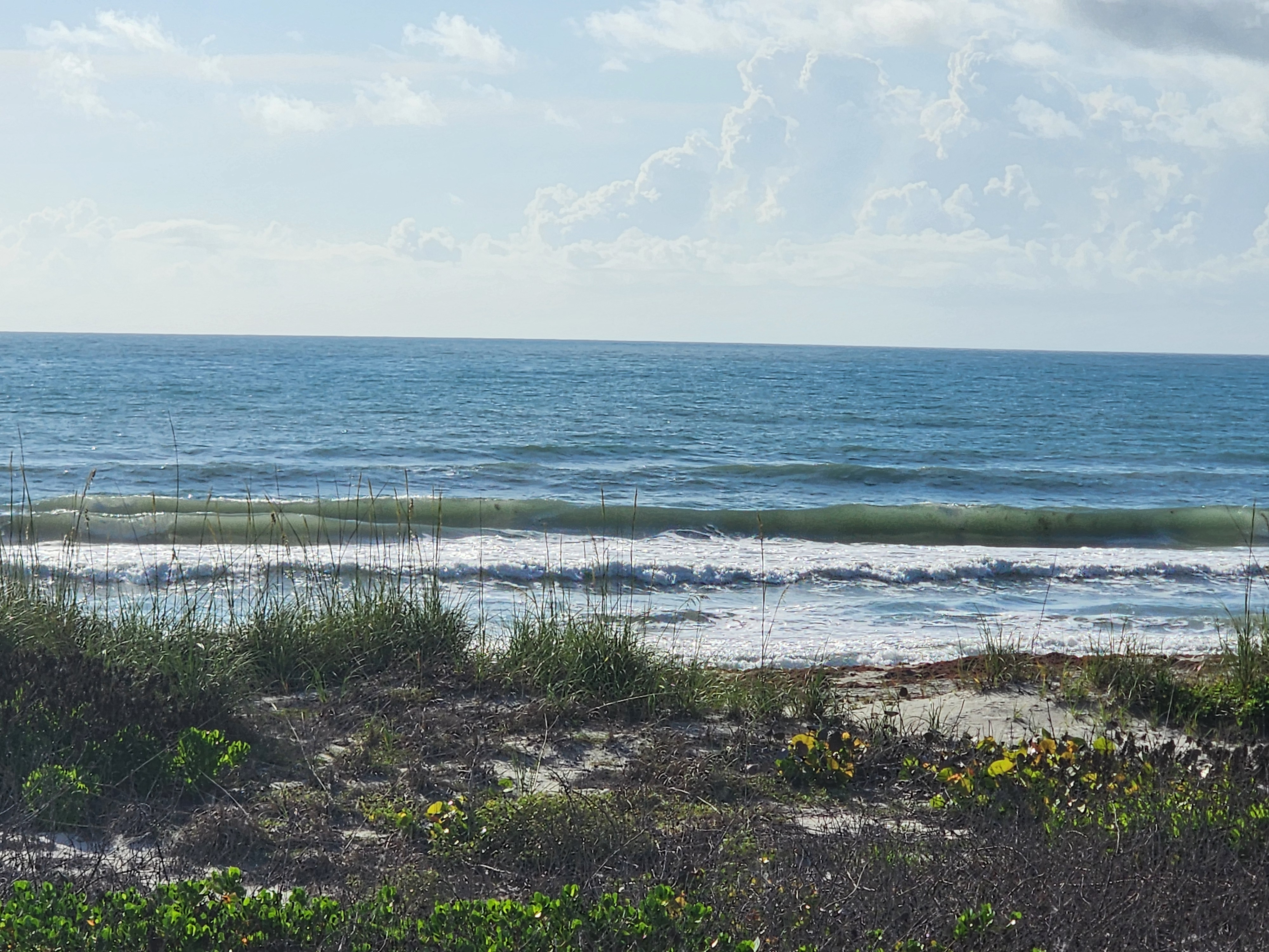 Cocoa Beach surf photo 3 — 2-3' midtide incoming with easing winds at 7-10 kts — fun for shortboard or longboard. Still lots of seaweed.