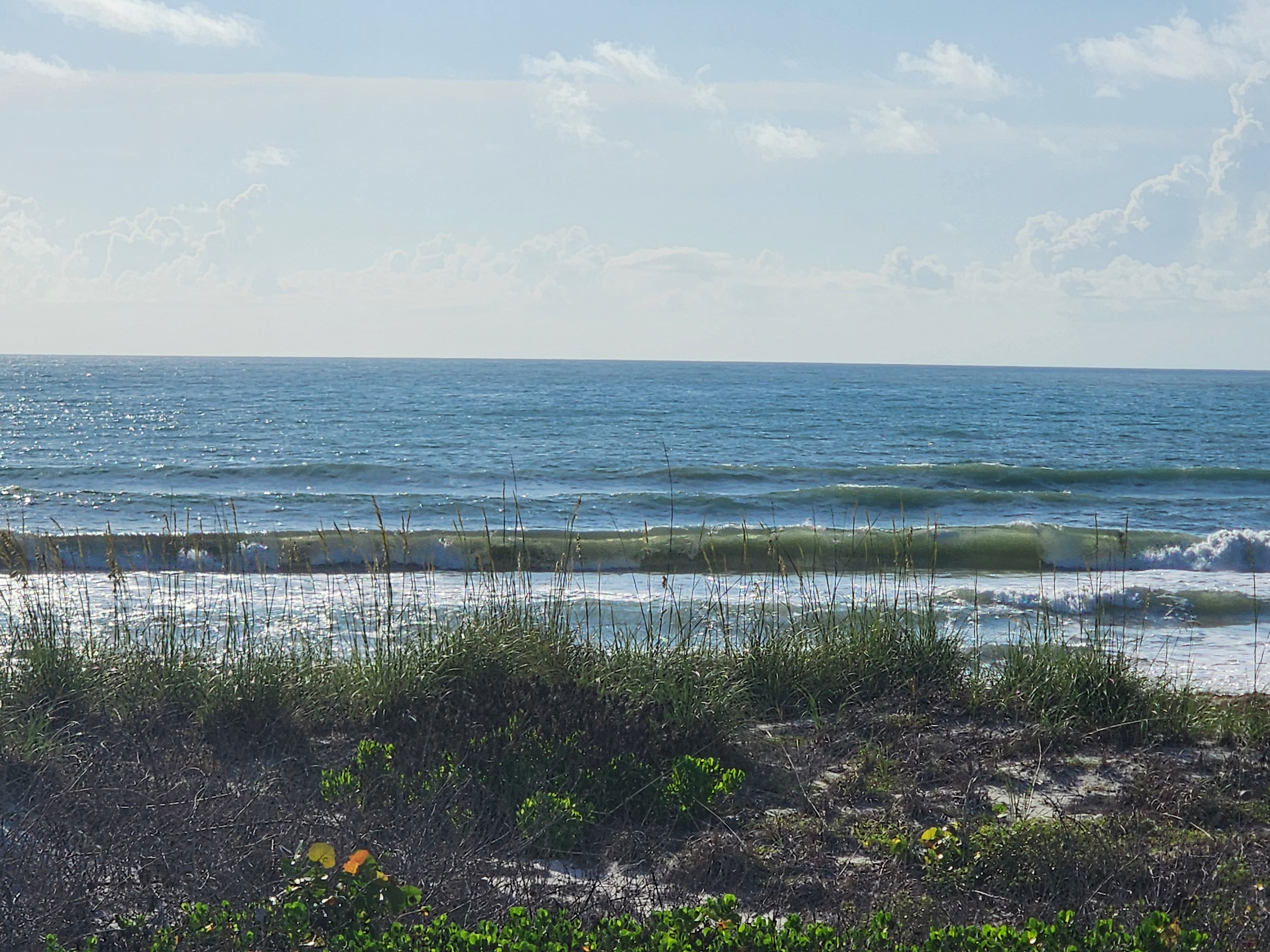Cocoa Beach surf photo 4 — 2-3' midtide incoming with easing winds at 7-10 kts — fun for shortboard or longboard. Still lots of seaweed.