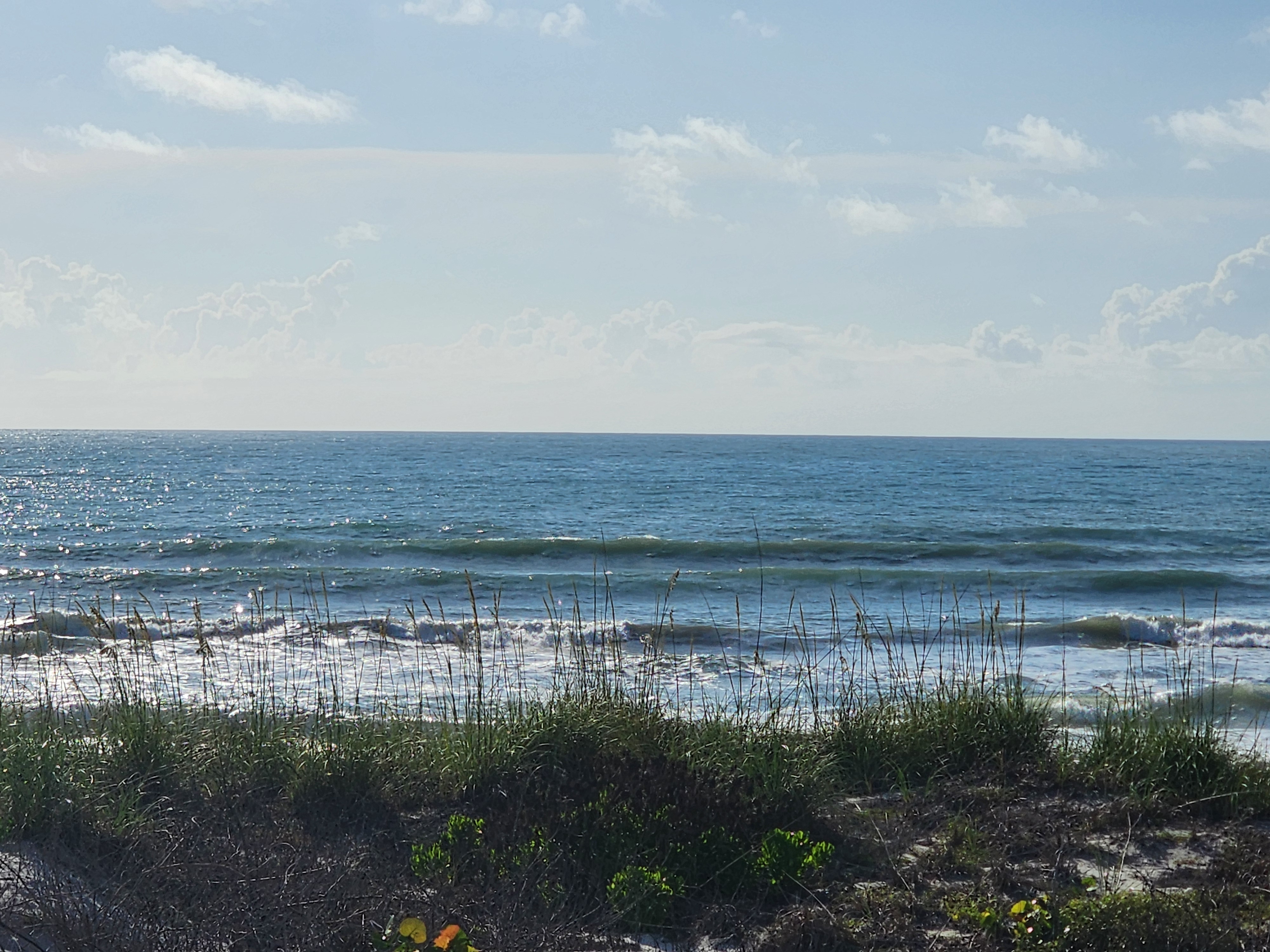 Cocoa Beach surf photo 5 — 2-3' midtide incoming with easing winds at 7-10 kts — fun for shortboard or longboard. Still lots of seaweed.