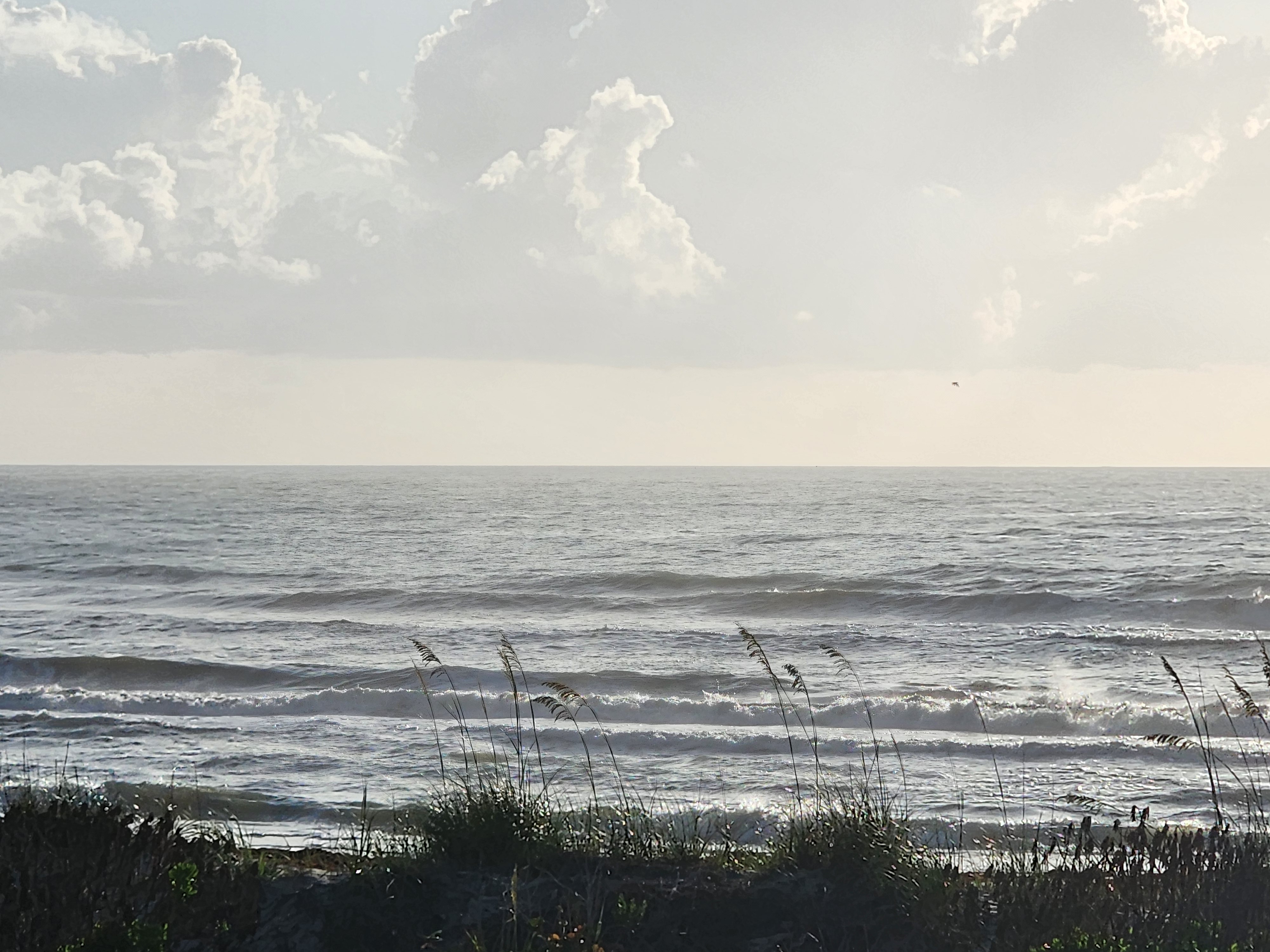 Cocoa Beach surf photo 2 — 2-3'+ with light onshore 5 mph or less — fairly clean and fun for shortboard or longboard. Hot day, get out there!
