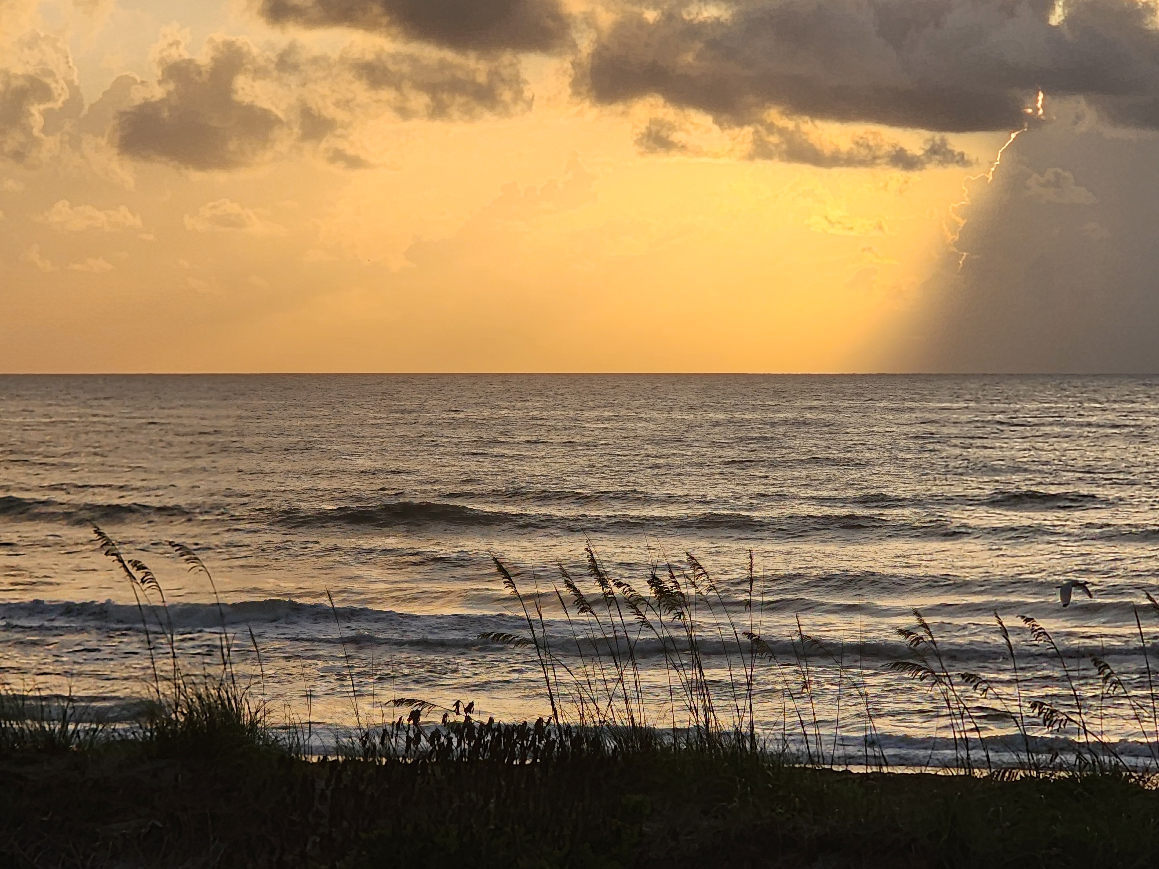 Wide golden sunbeams over calm 2-3 foot swell with sea oats in foreground at Cocoa Beach best surf spot