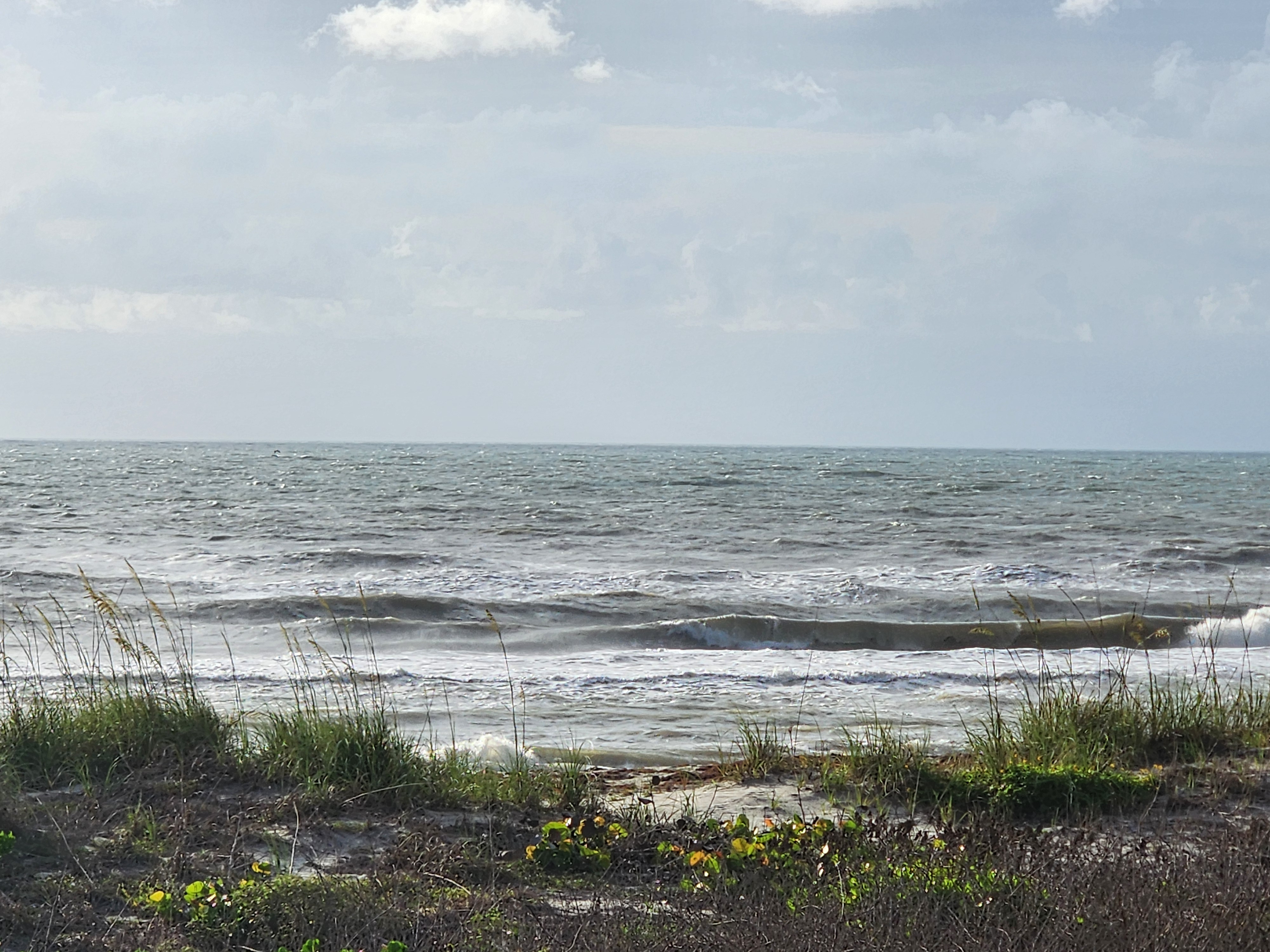 Textured wind-driven waves breaking through sea oats and dune vegetation at Picnic Tables Cocoa Beach