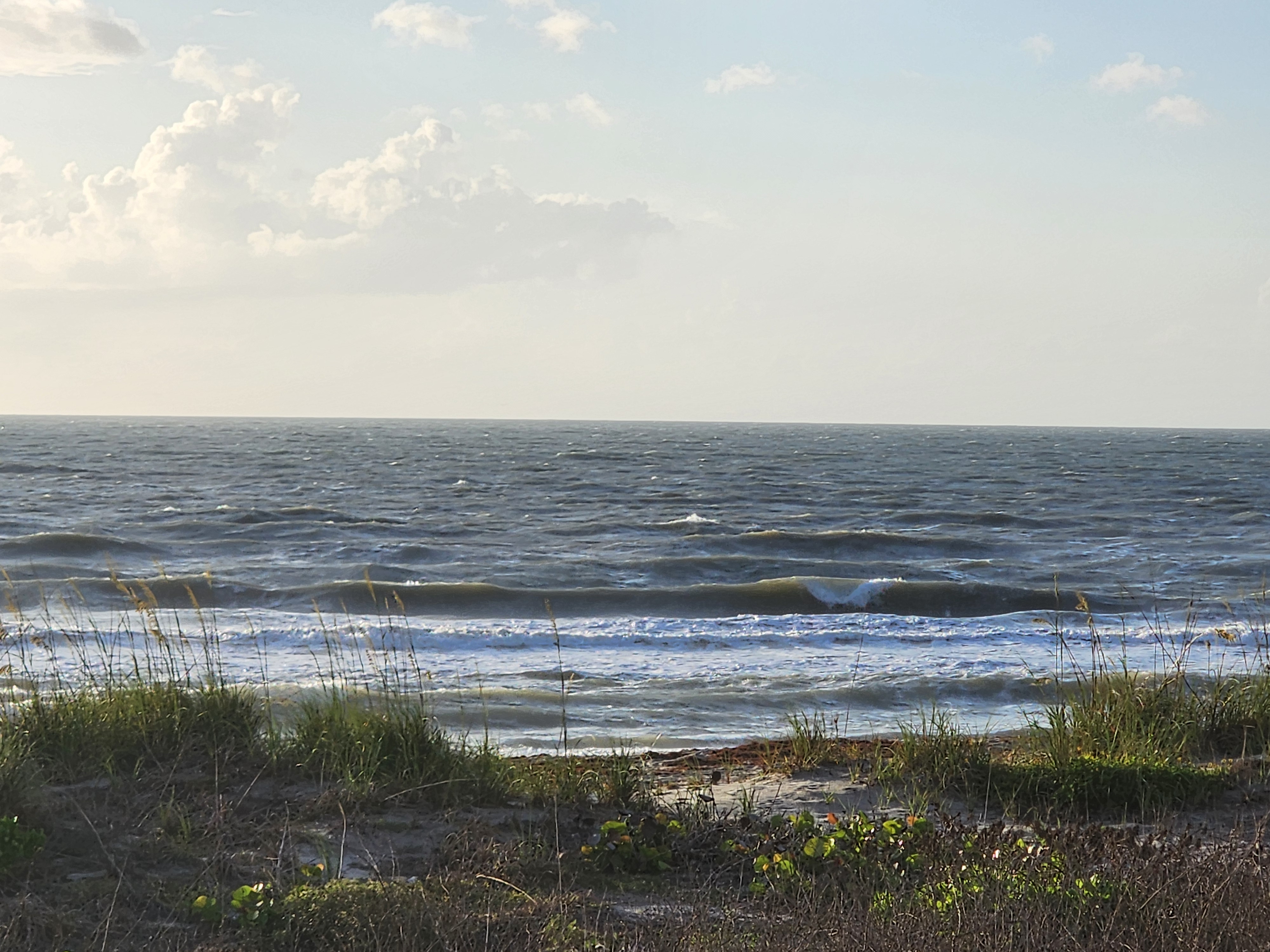 Short period swell breaking through choppy SE wind conditions with sea oats at South Cocoa Beach