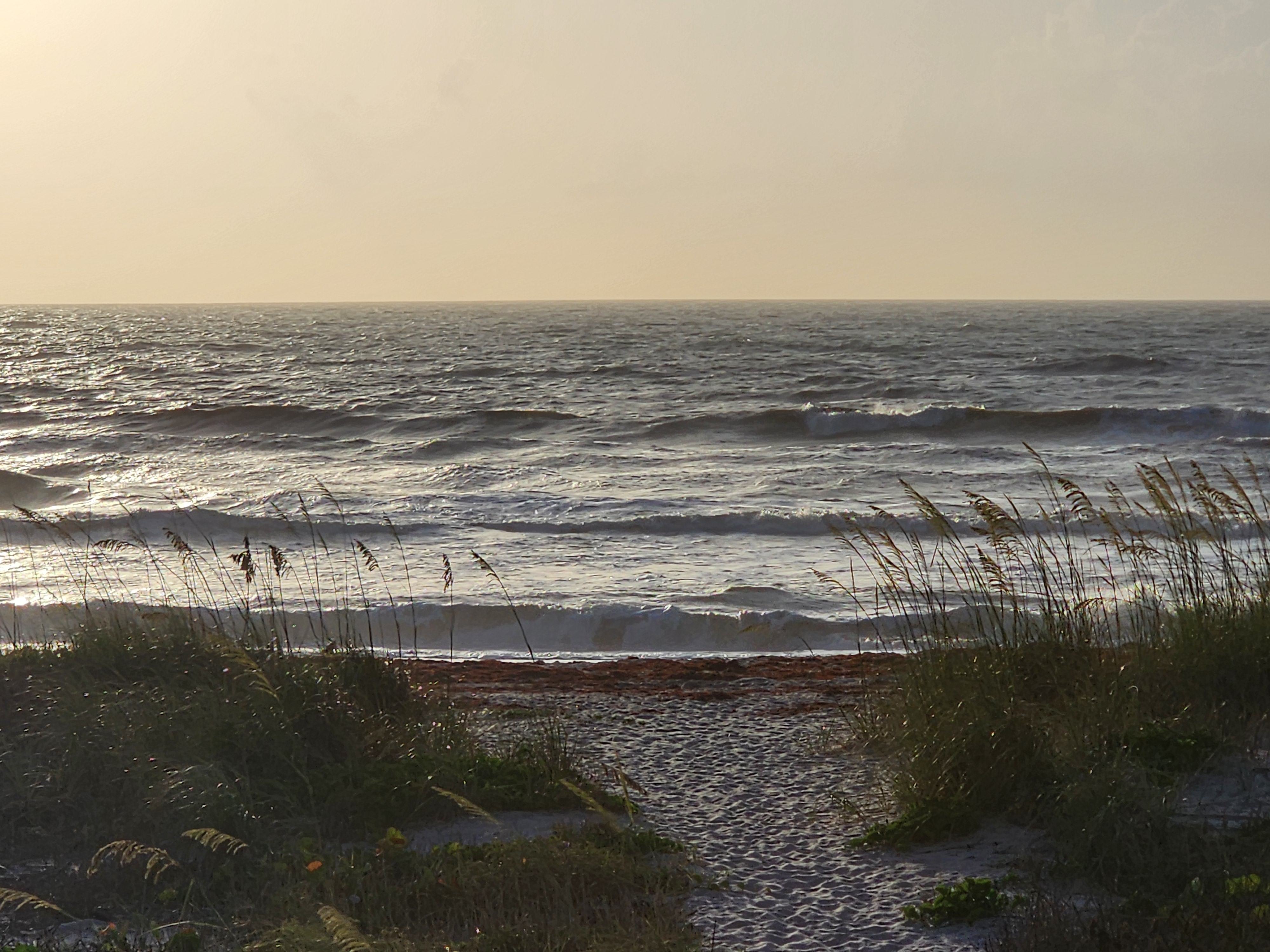 Silver morning light over textured wind-driven surf with sargassum on beach and sea oats at Picnic Tables Cocoa Beach