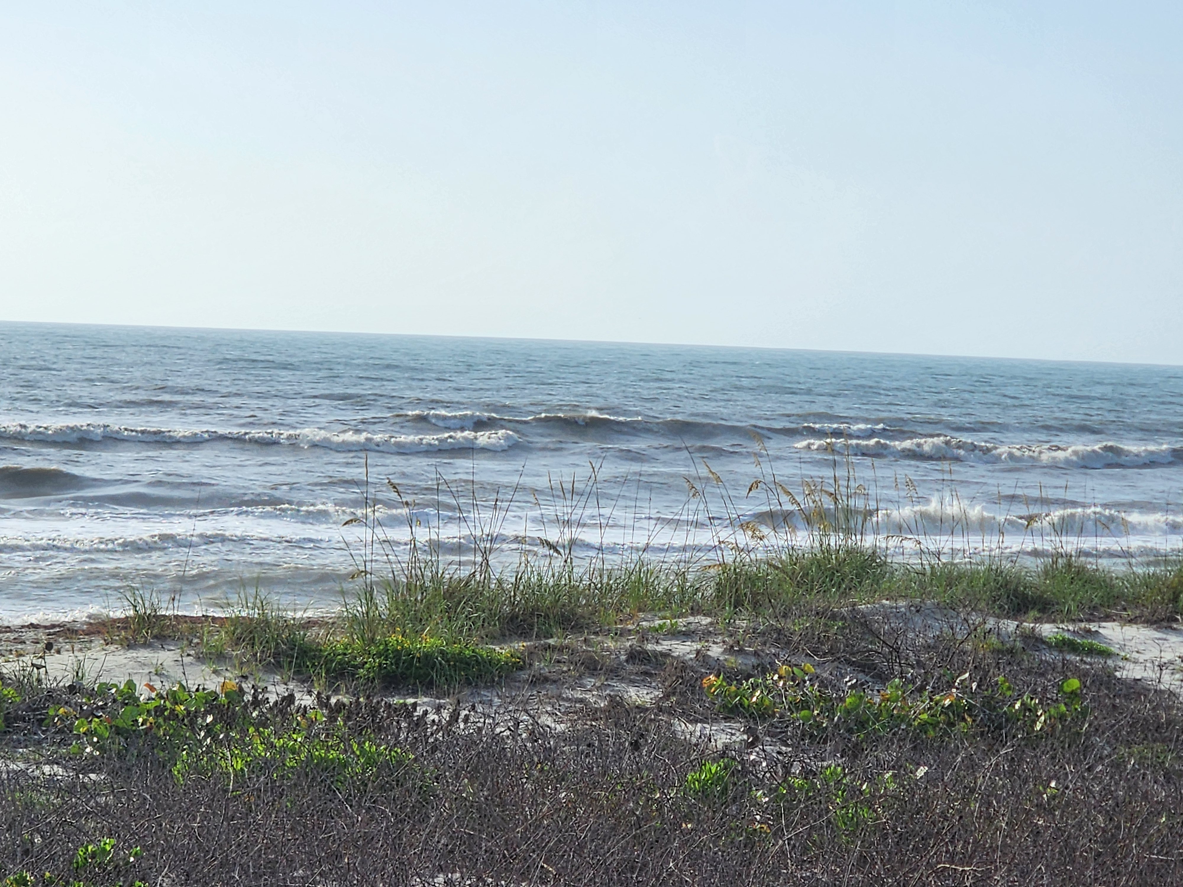 Wide view of choppy wind swell with whitecaps and sea oats framing the surf at South Cocoa Beach