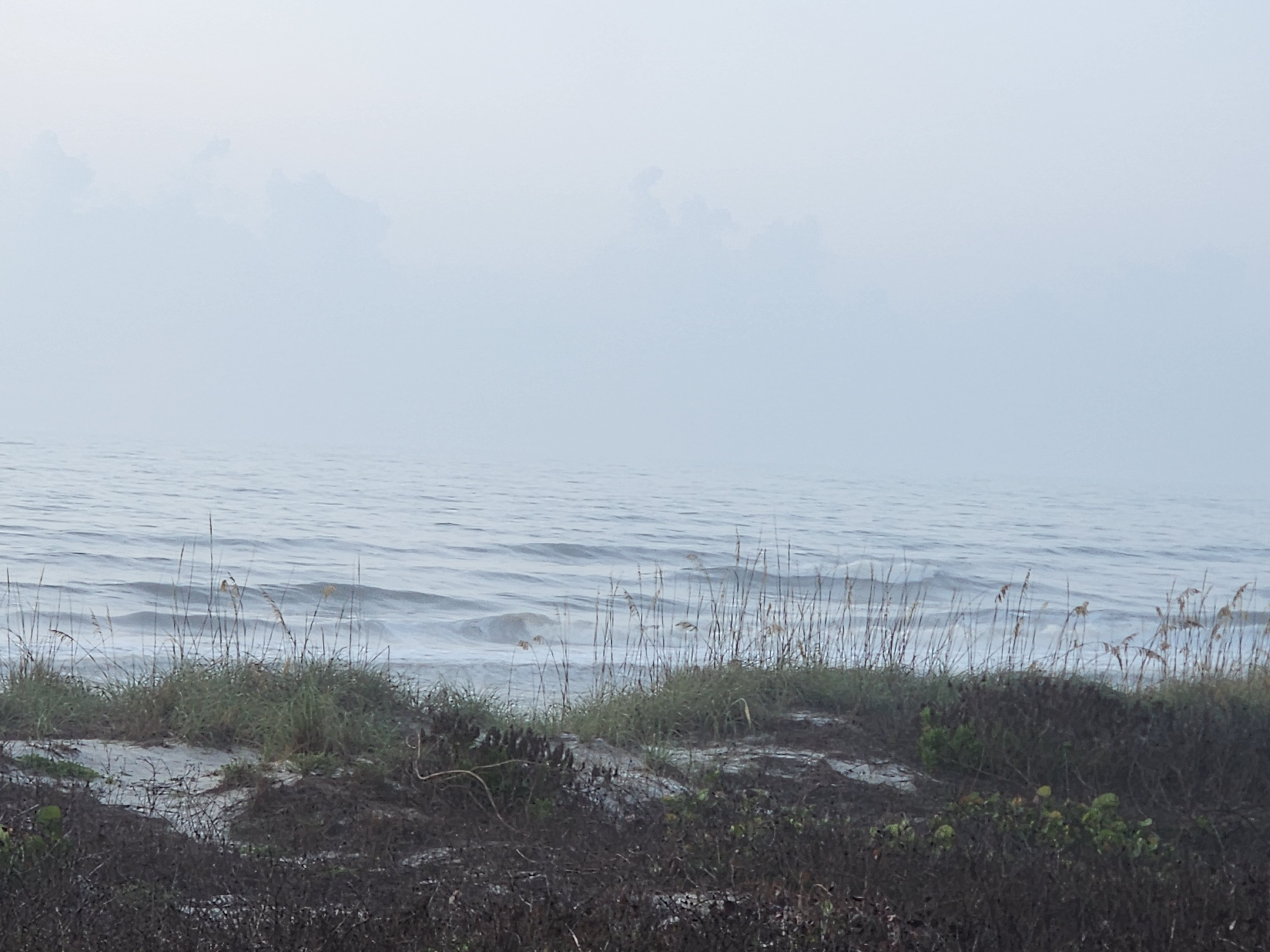 Foggy dawn with clean lines wrapping through mist and sea oats silhouetted at South Cocoa Beach