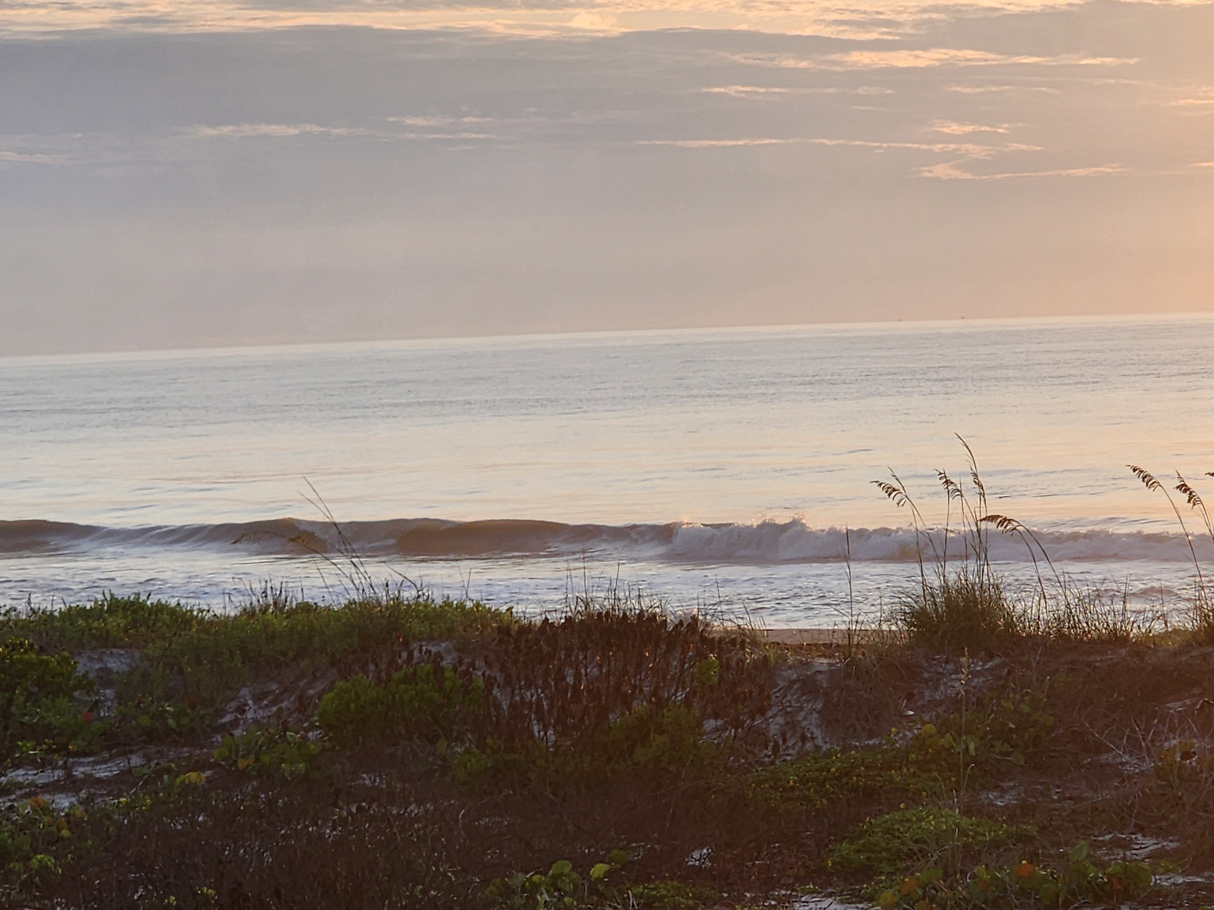 Clean lined-up swell breaking at dawn with pink sky and green dunes at Picnic Tables Cocoa Beach