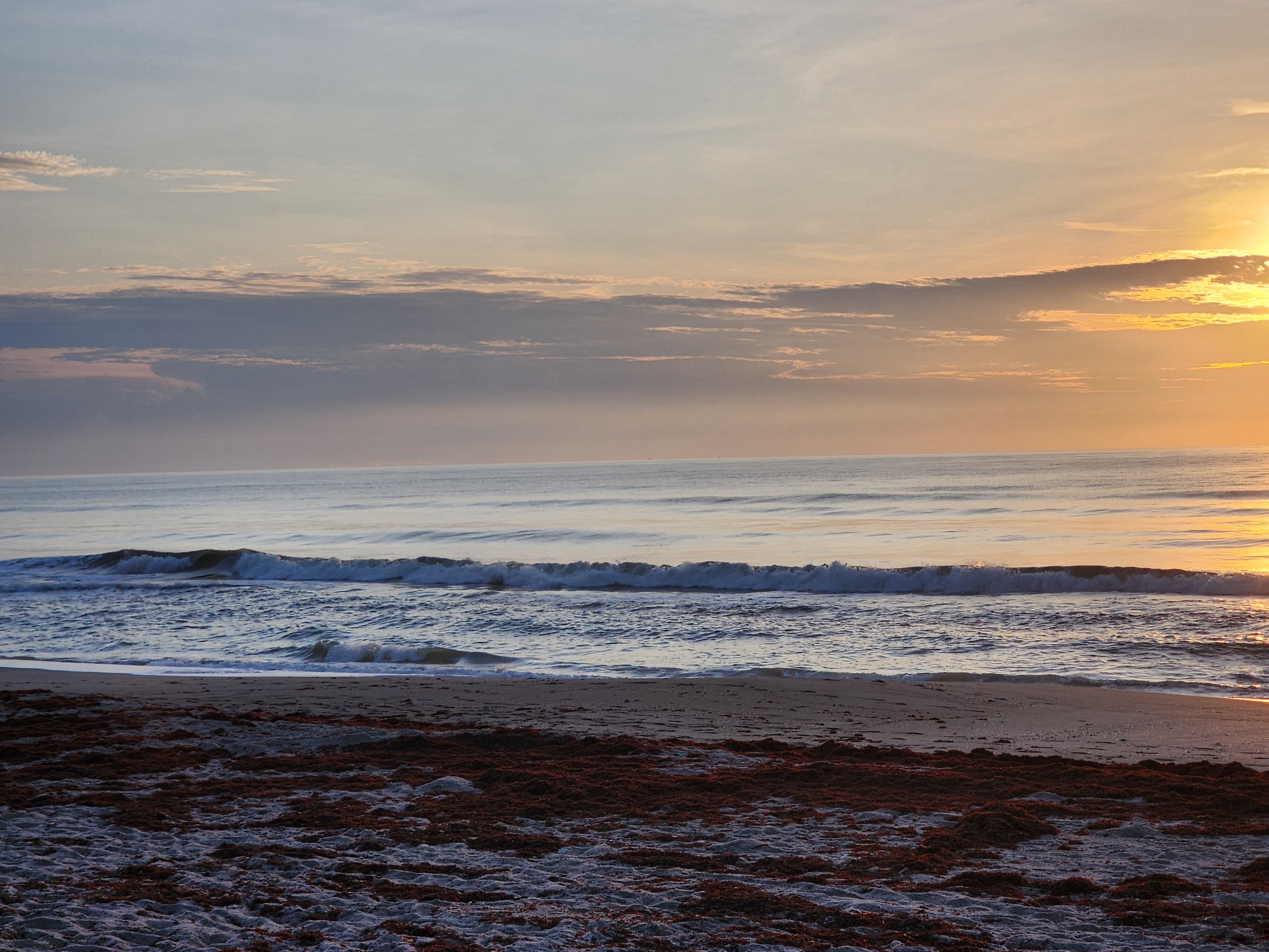 Sunrise glow over clean closing-out waves with sargassum-covered beach at Cocoa Beach hightide conditions