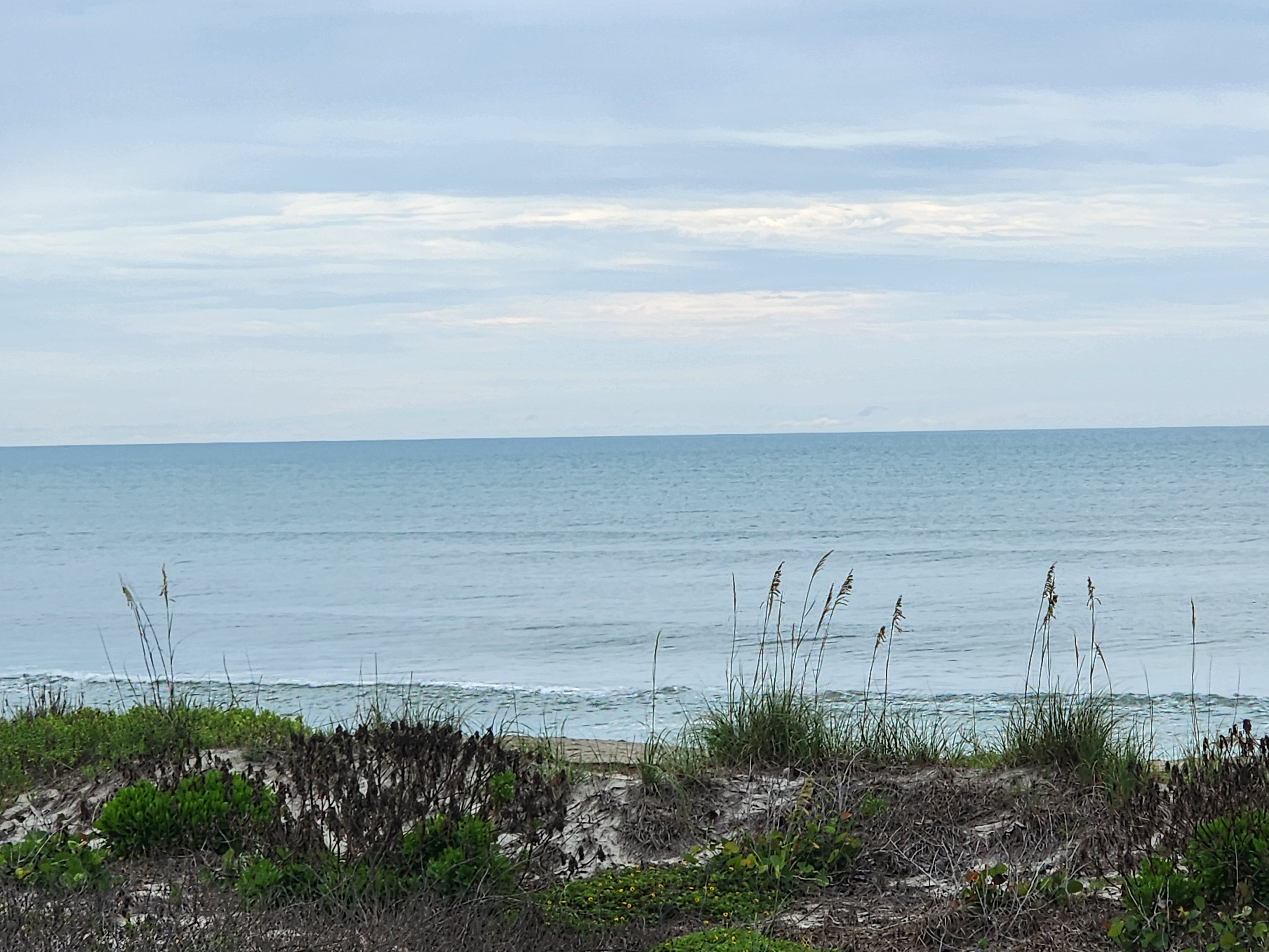 Flat calm ocean with overcast skies and dune vegetation at South Cocoa Beach no surf