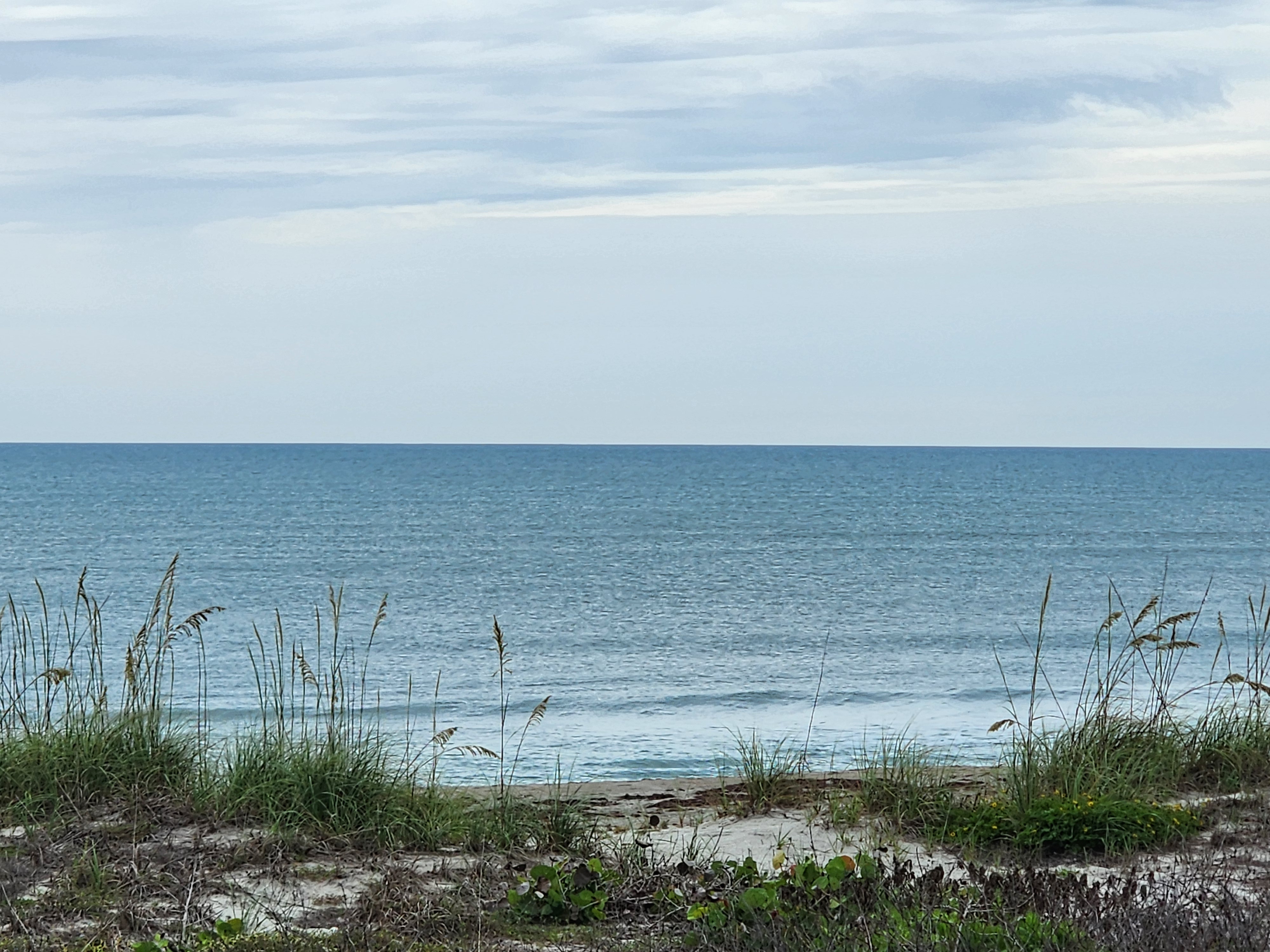 Glass-calm blue water with barely a ripple and sea oats at Picnic Tables Cocoa Beach flat day