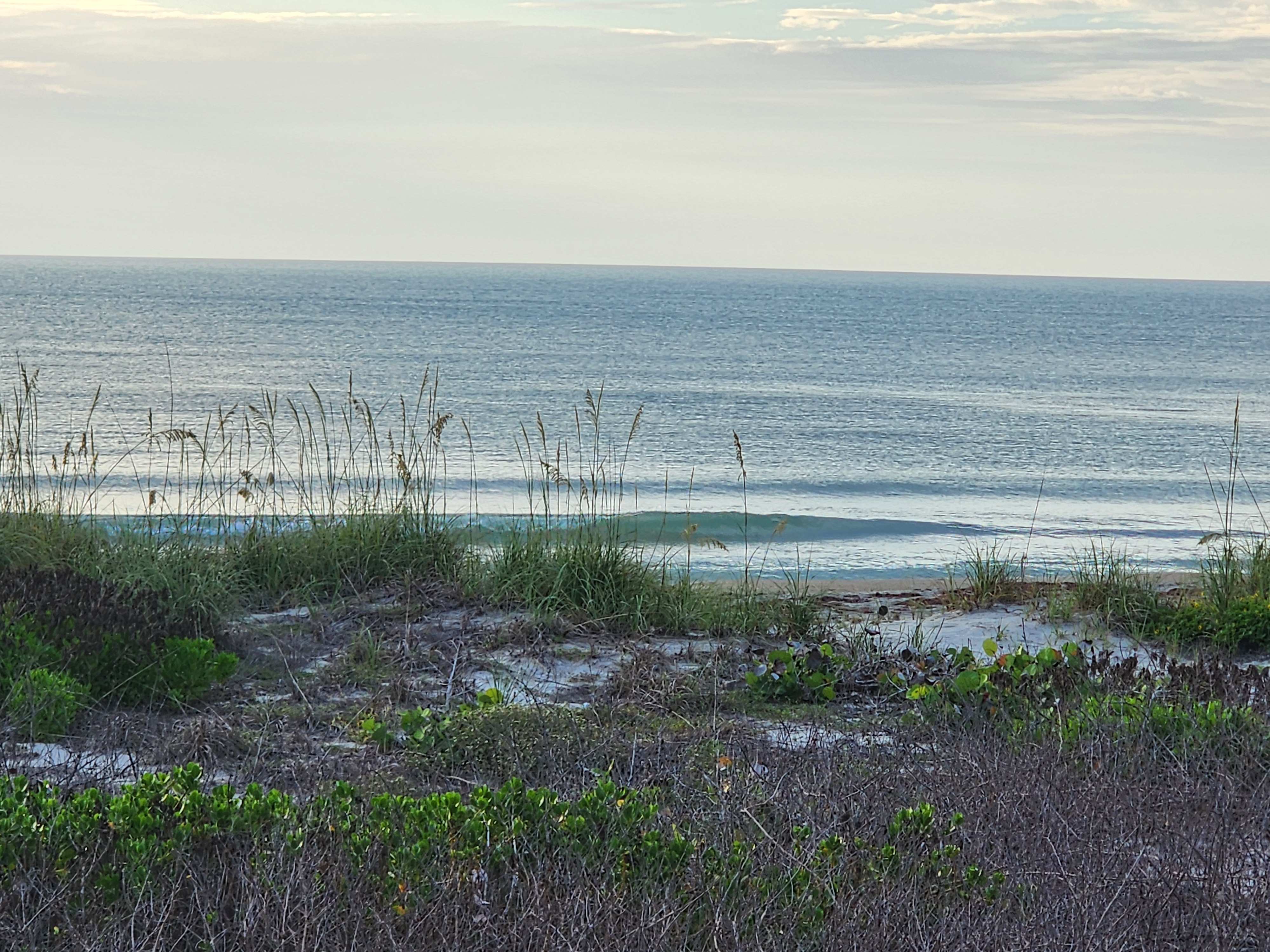 Small clean 1 foot wave peeling through glassy water with sea oats and dunes at Picnic Tables Cocoa Beach